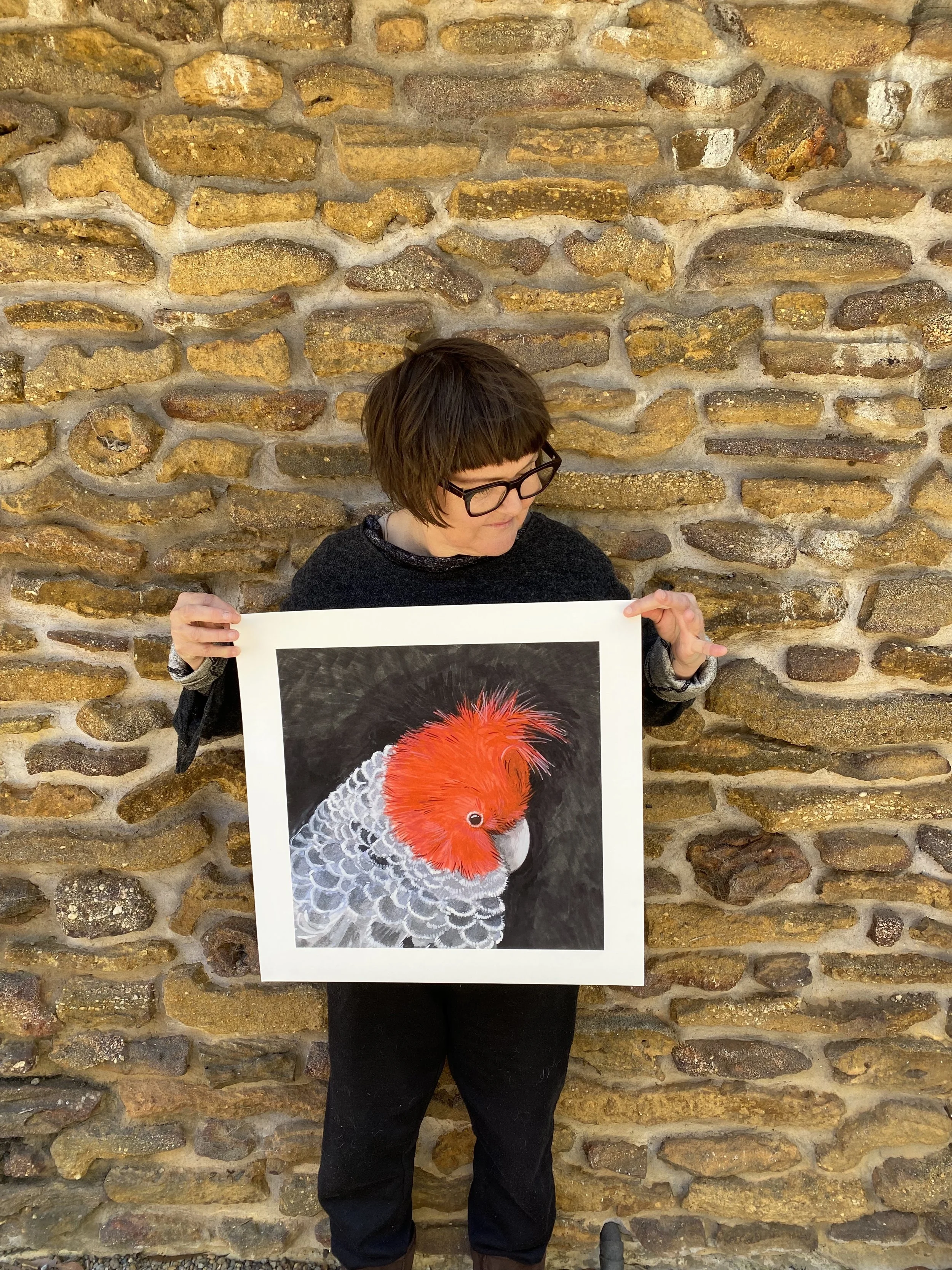 julie-small-bpc-print.jpg