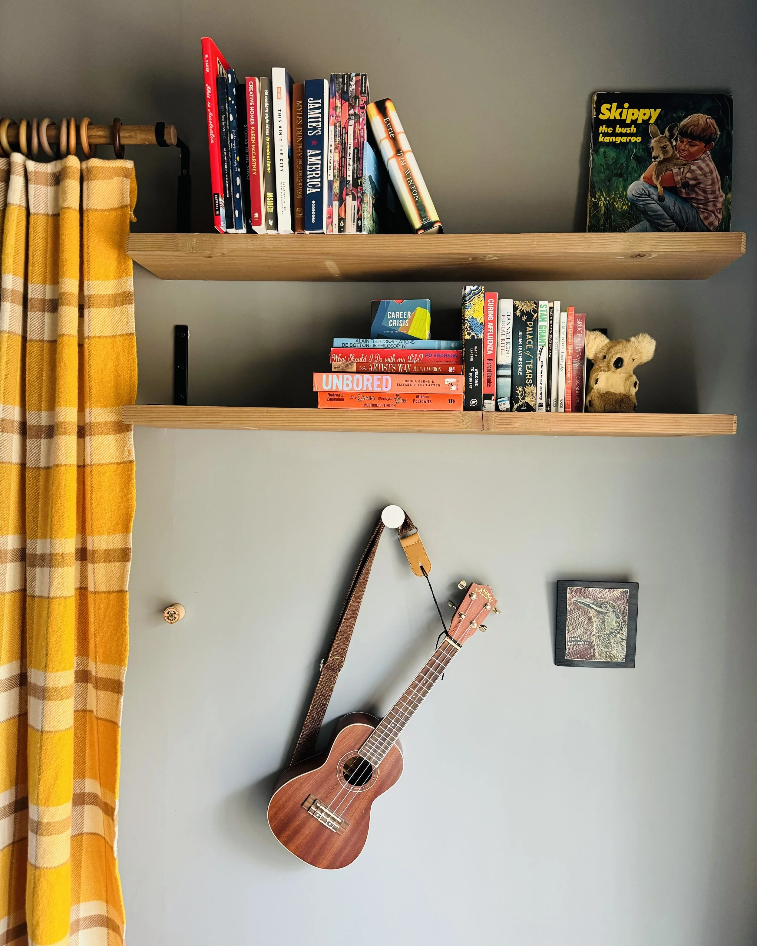 C2 Bookshelves.jpg