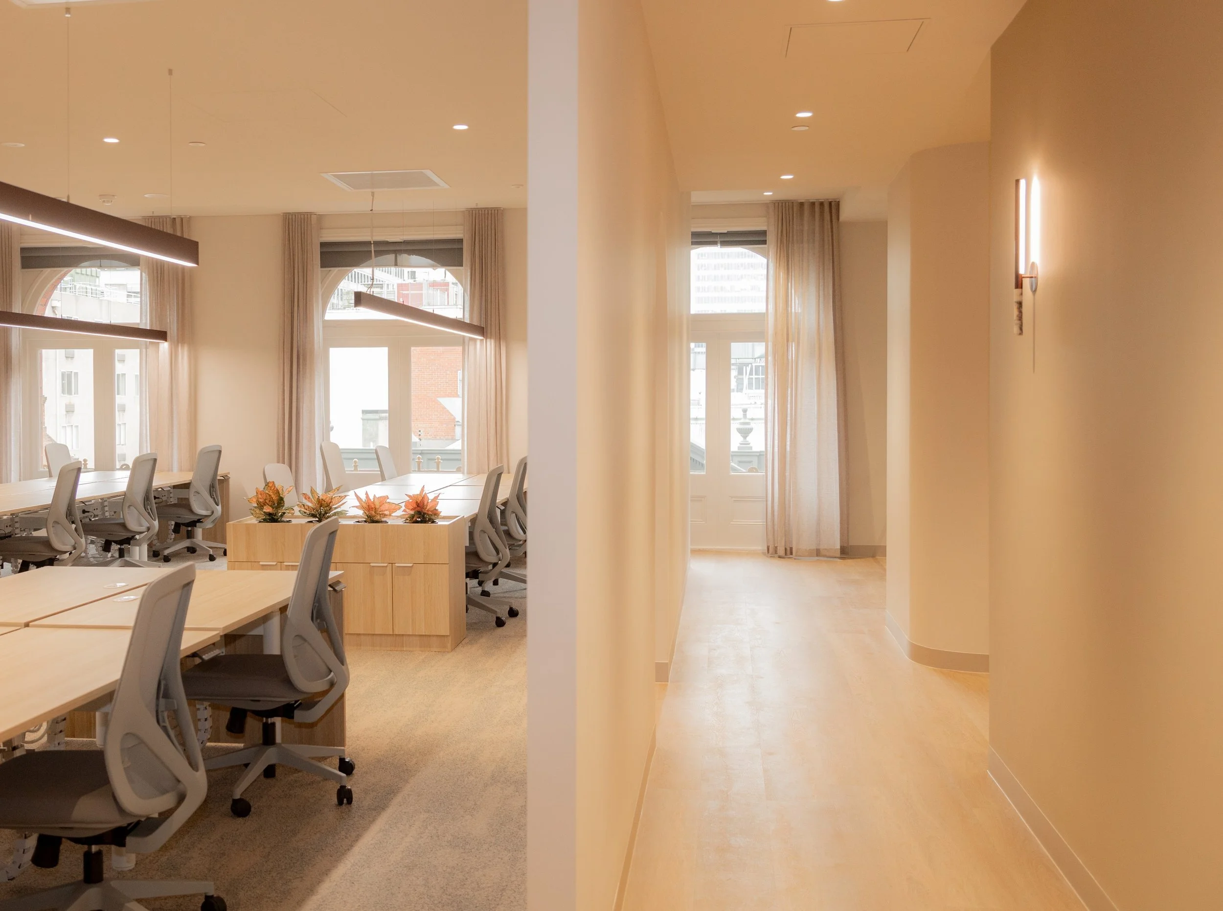 171Collins_Grace Petrou-45 - Copy.jpg