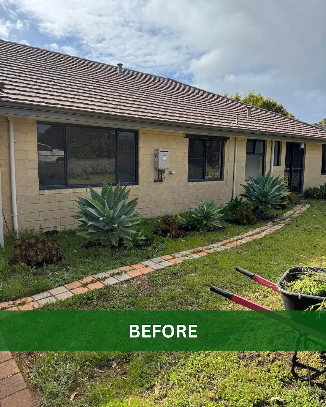 Bella Vista: Before & After or Services