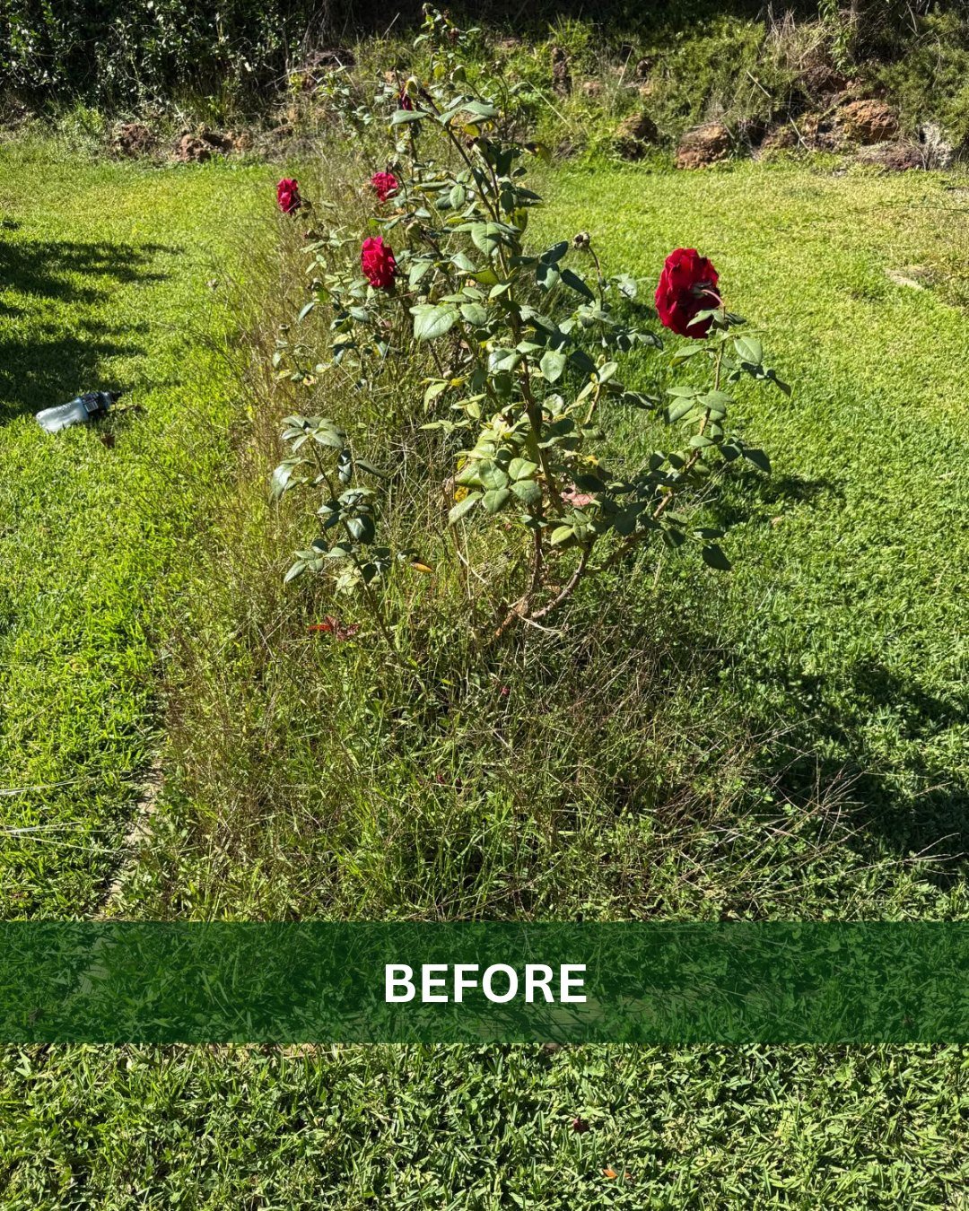 Before & After Pictures Bella Vista Maintenance Services
