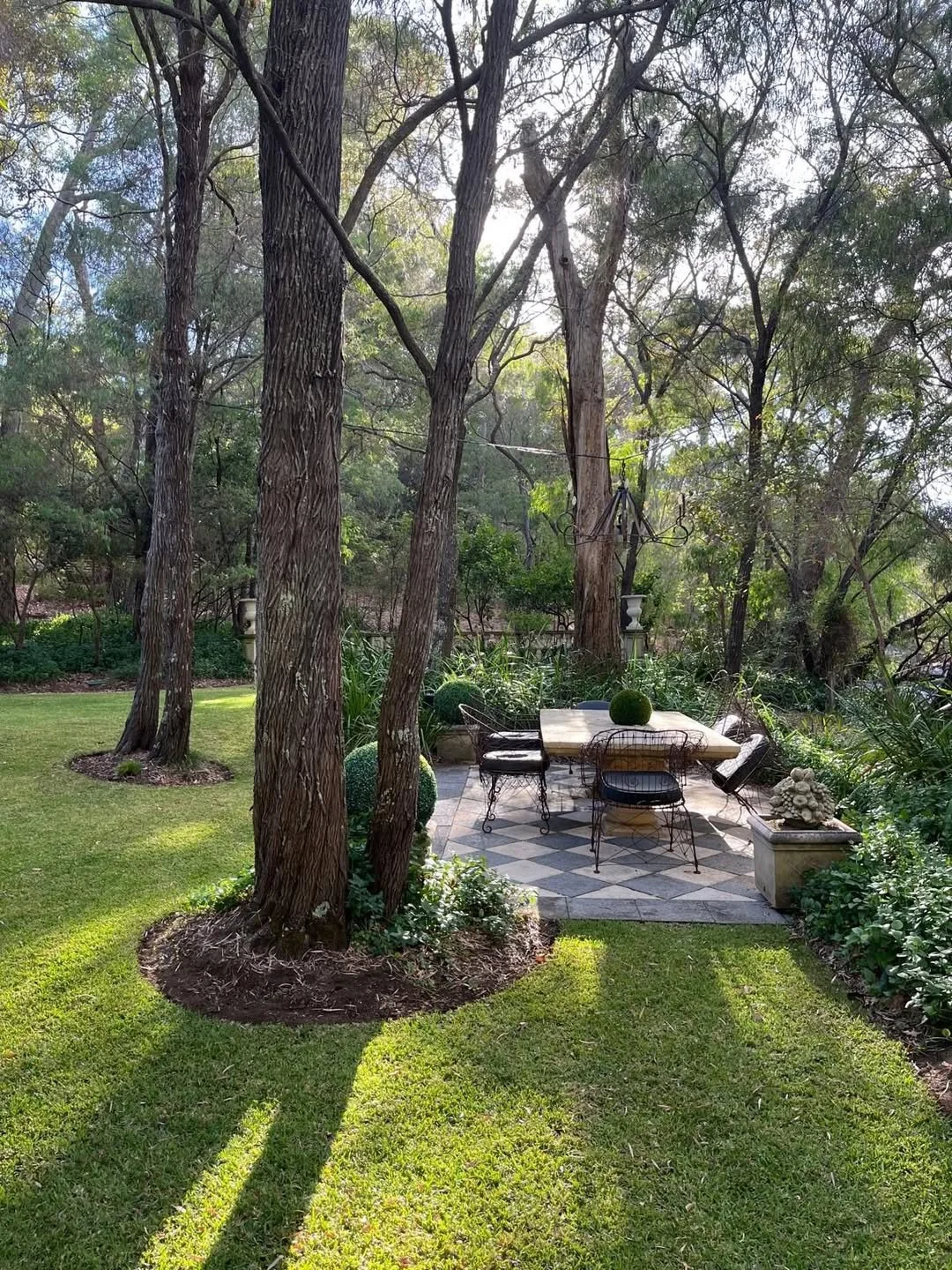 Garden maintenance and pruning around mature trees in Margaret River, Western Australia