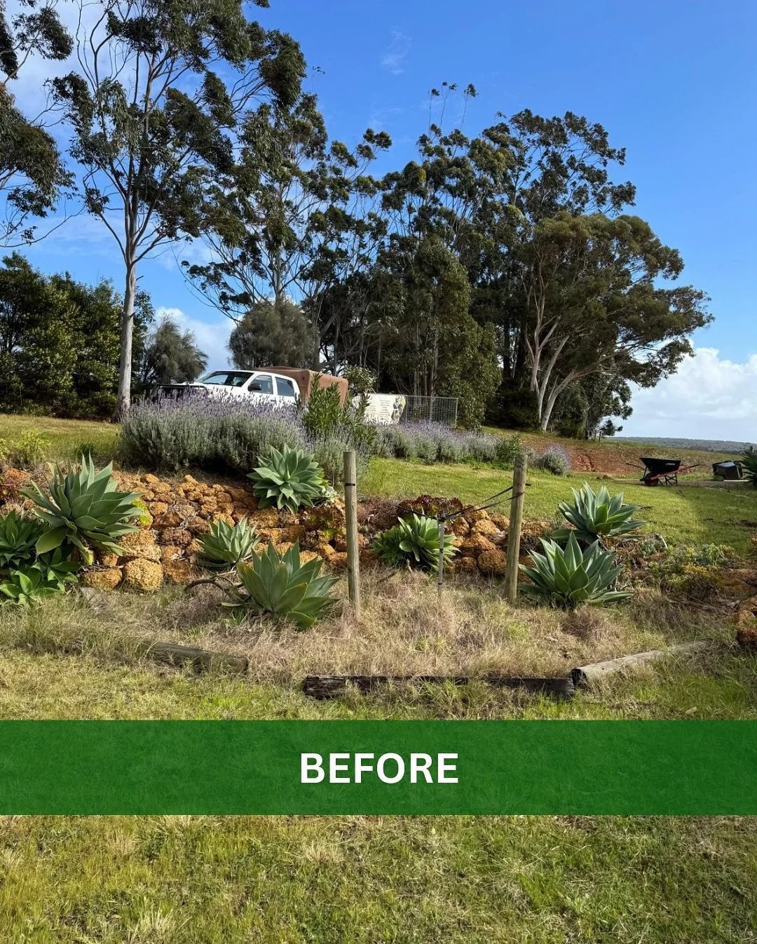 Before & After Pictures Bella Vista Maintenance Services