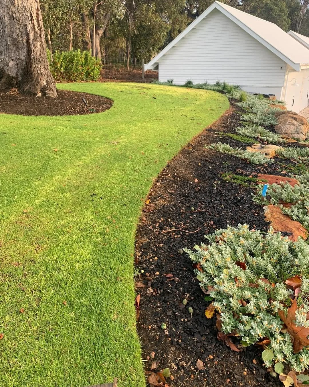 Bella Vista: Before & After or Services