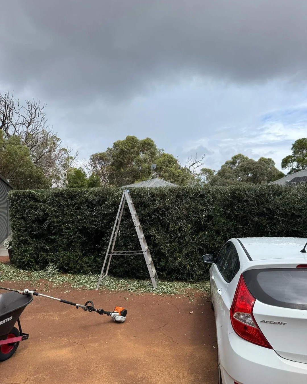 Bella Vista: Before & After or Services