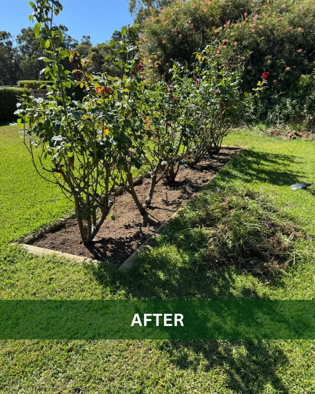 Before & After Pictures Bella Vista Maintenance Services