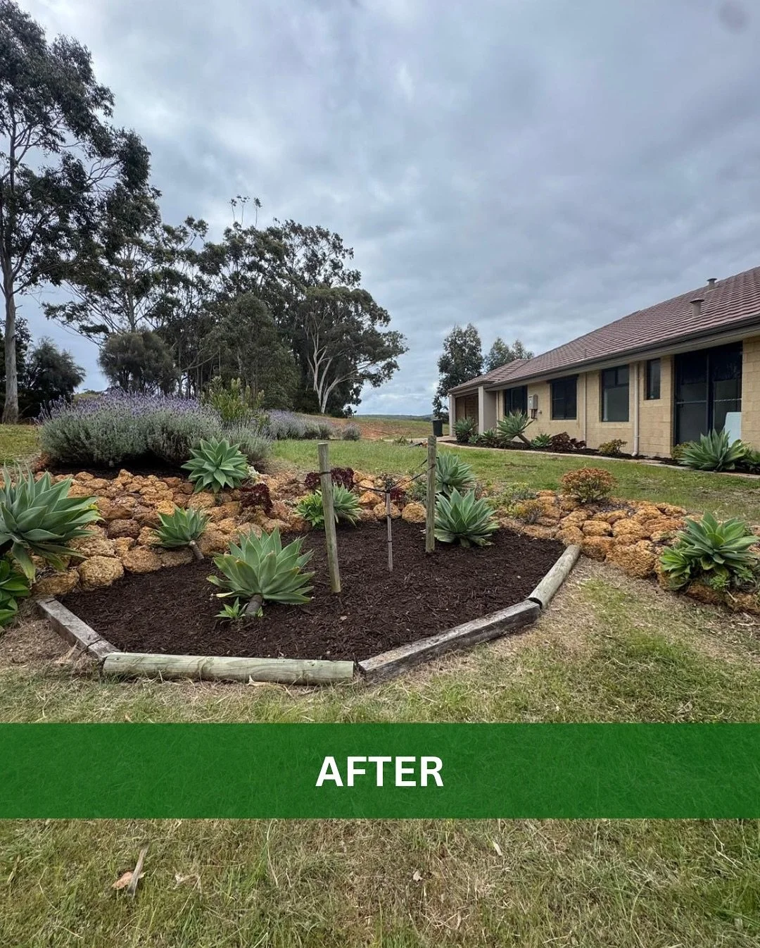 Bella Vista: Before & After or Services