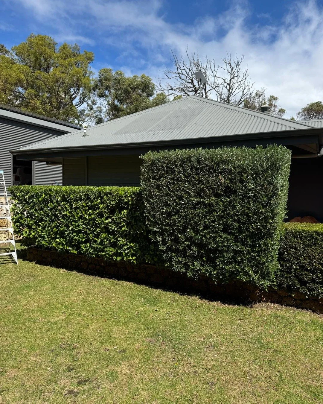 Bella Vista: Before & After or Services