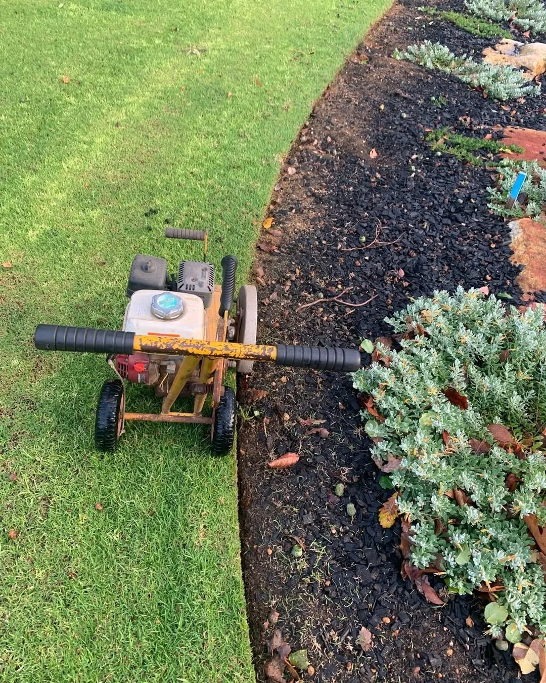 Bella Vista: Before & After or Services