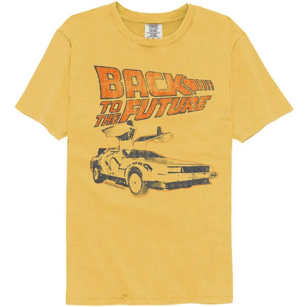 Back to the Future Ride.jpg