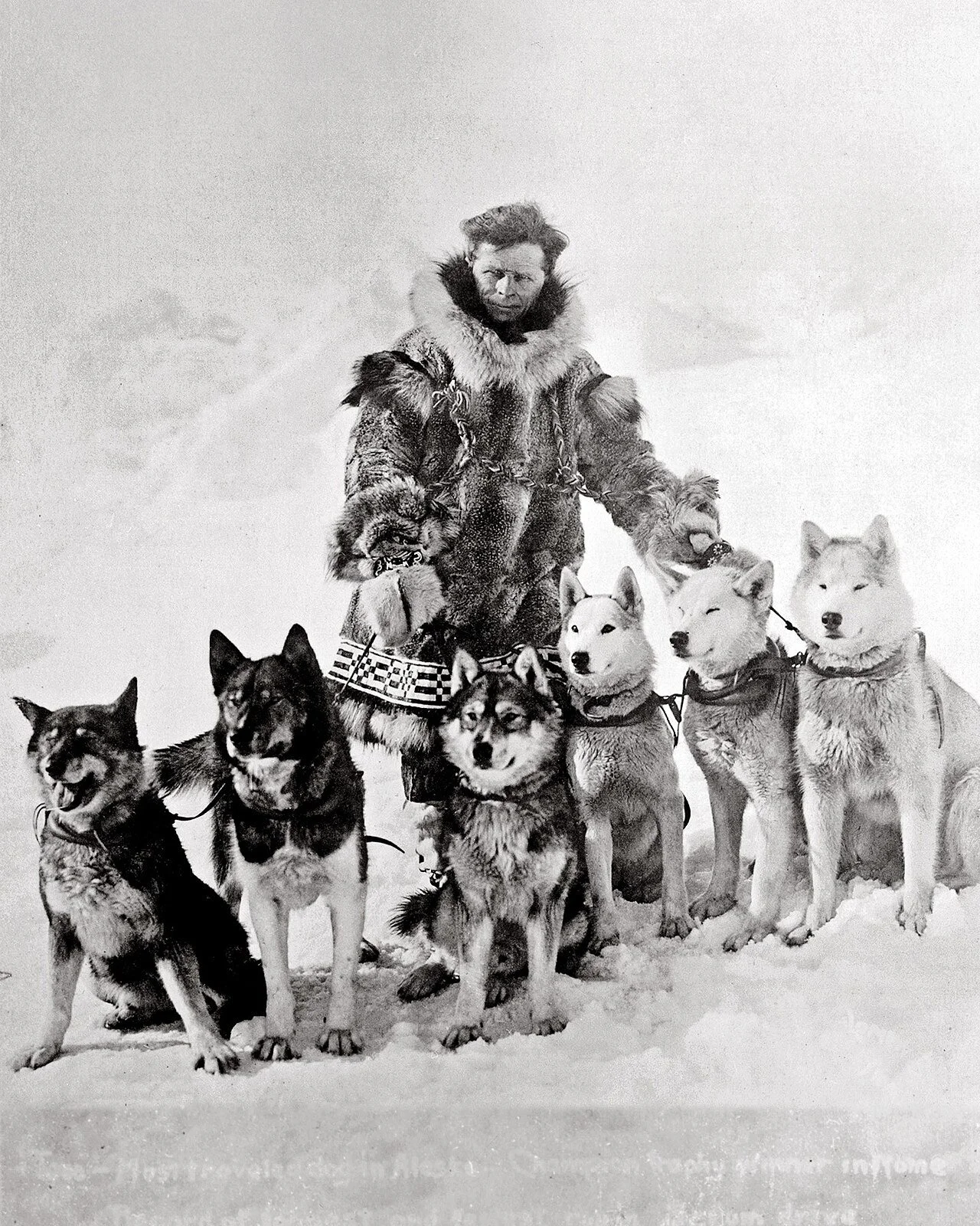 Leonhard Seppala posing with sled dogs, including Togo and Balto