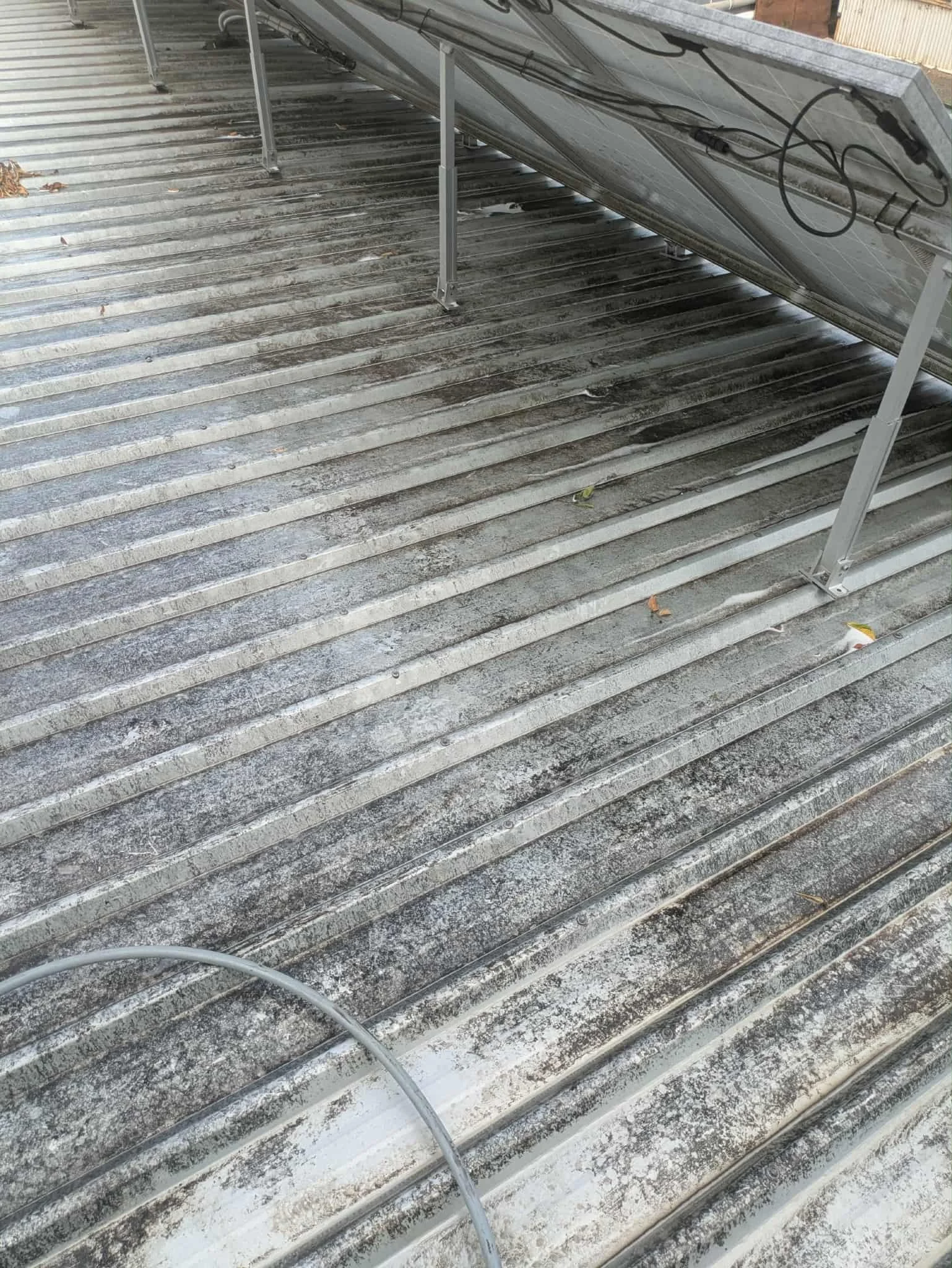 Stuart Street Kindy  (1).jpg