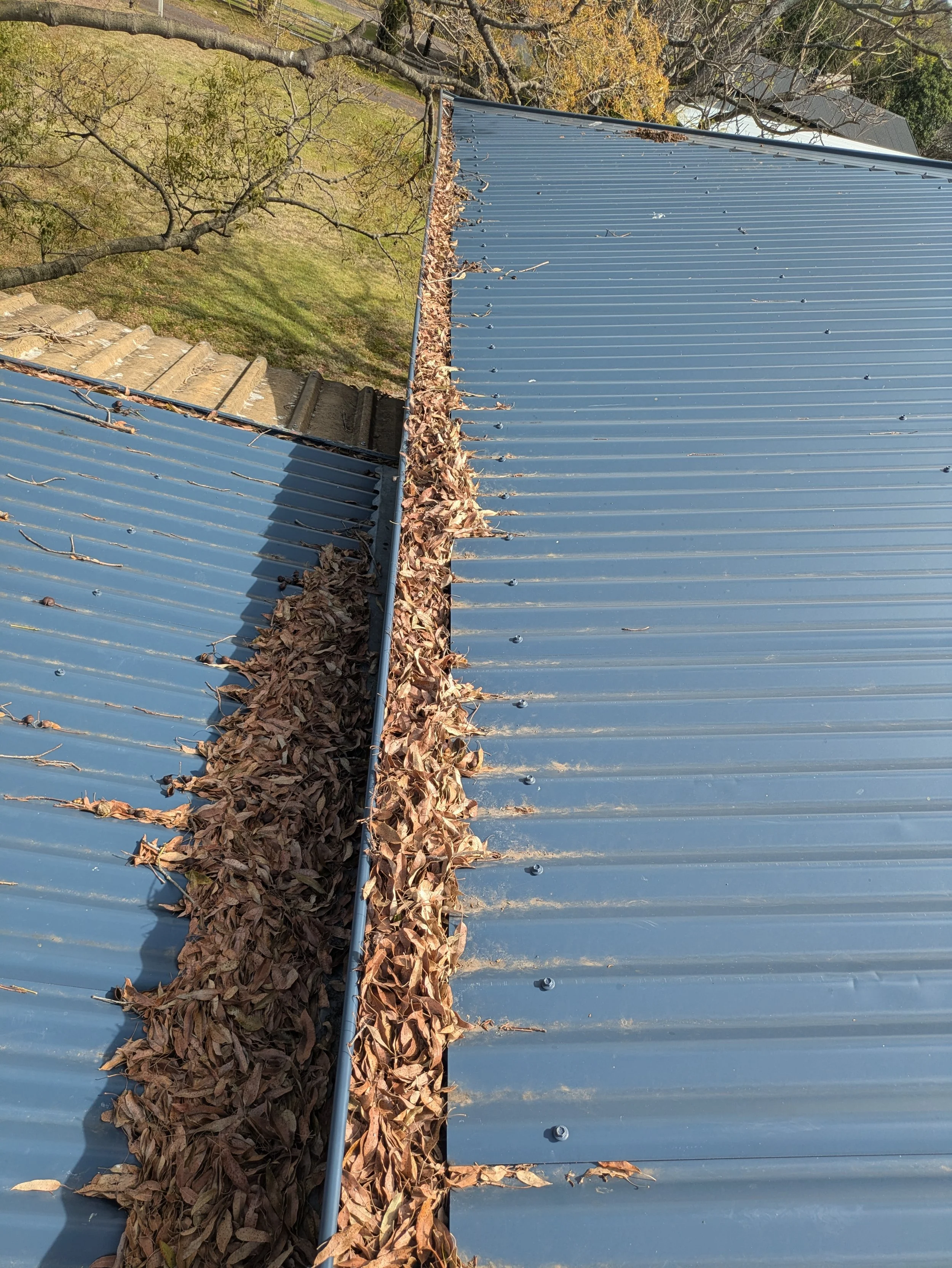 Gutter Cleaning Dalby