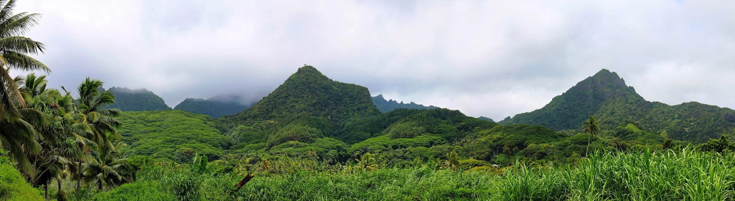 Lush green tropical mountains with dense forests and palm trees under a cloudy sky.