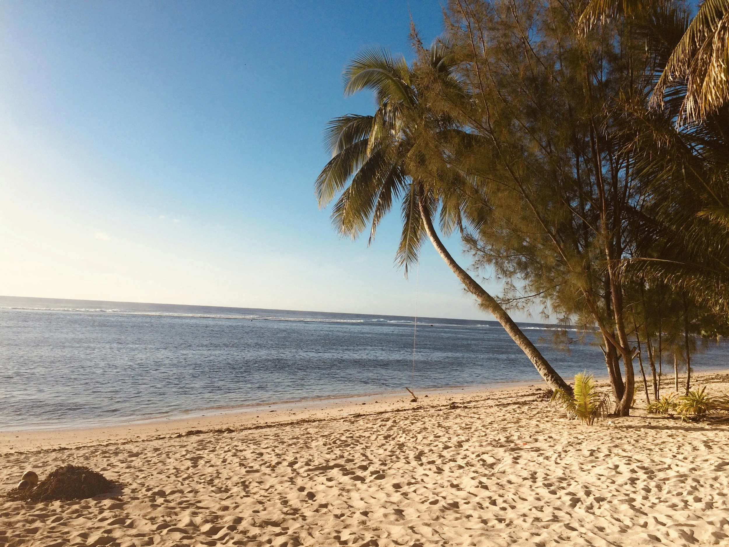 Tropical beach with palm trees and clear blue sky