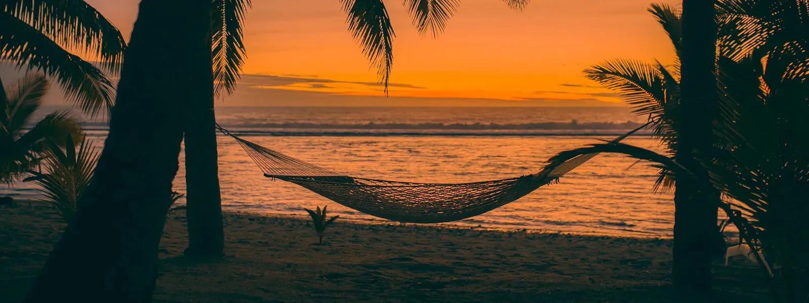 Hammock.jpg