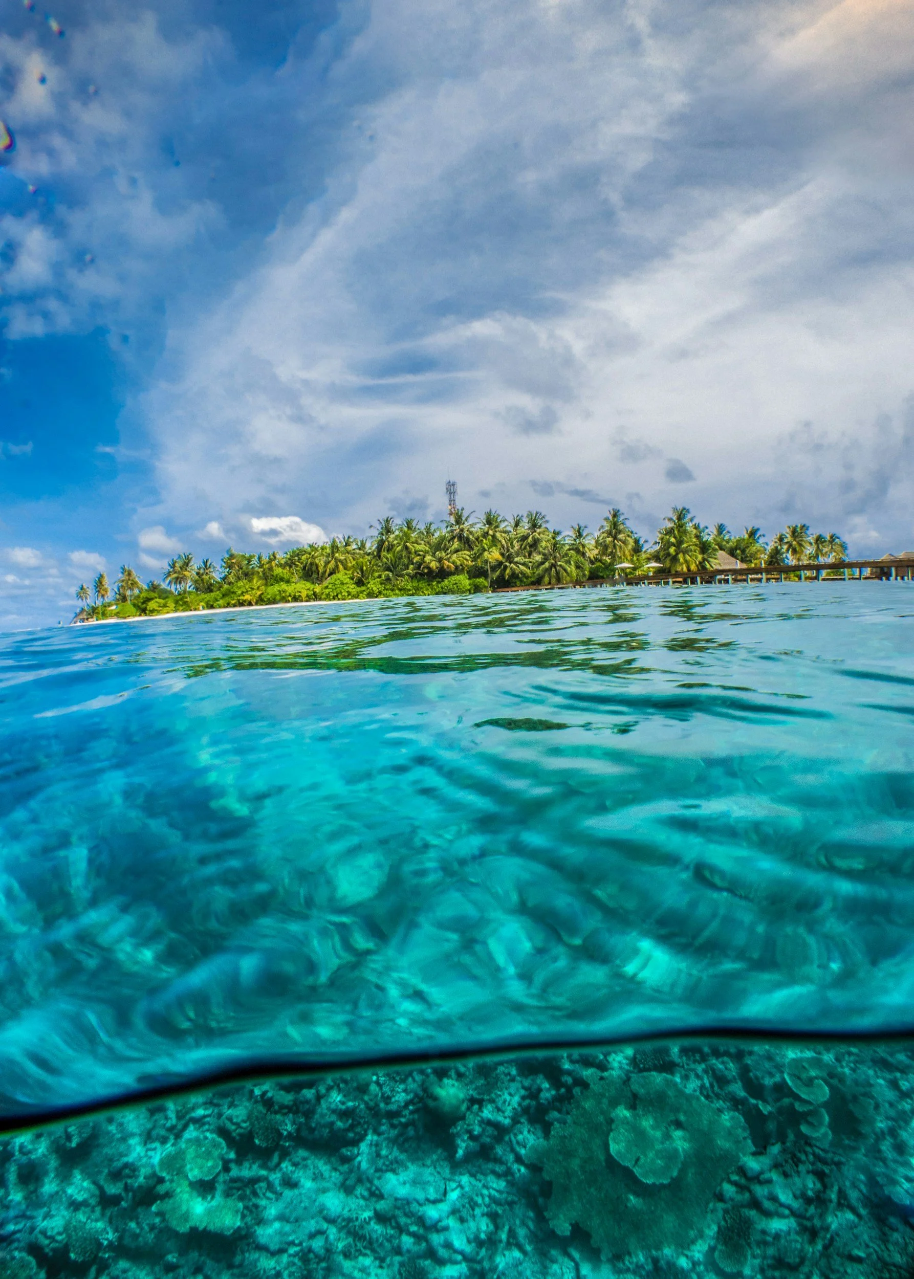 Over-under photo of clear tropical sea and island