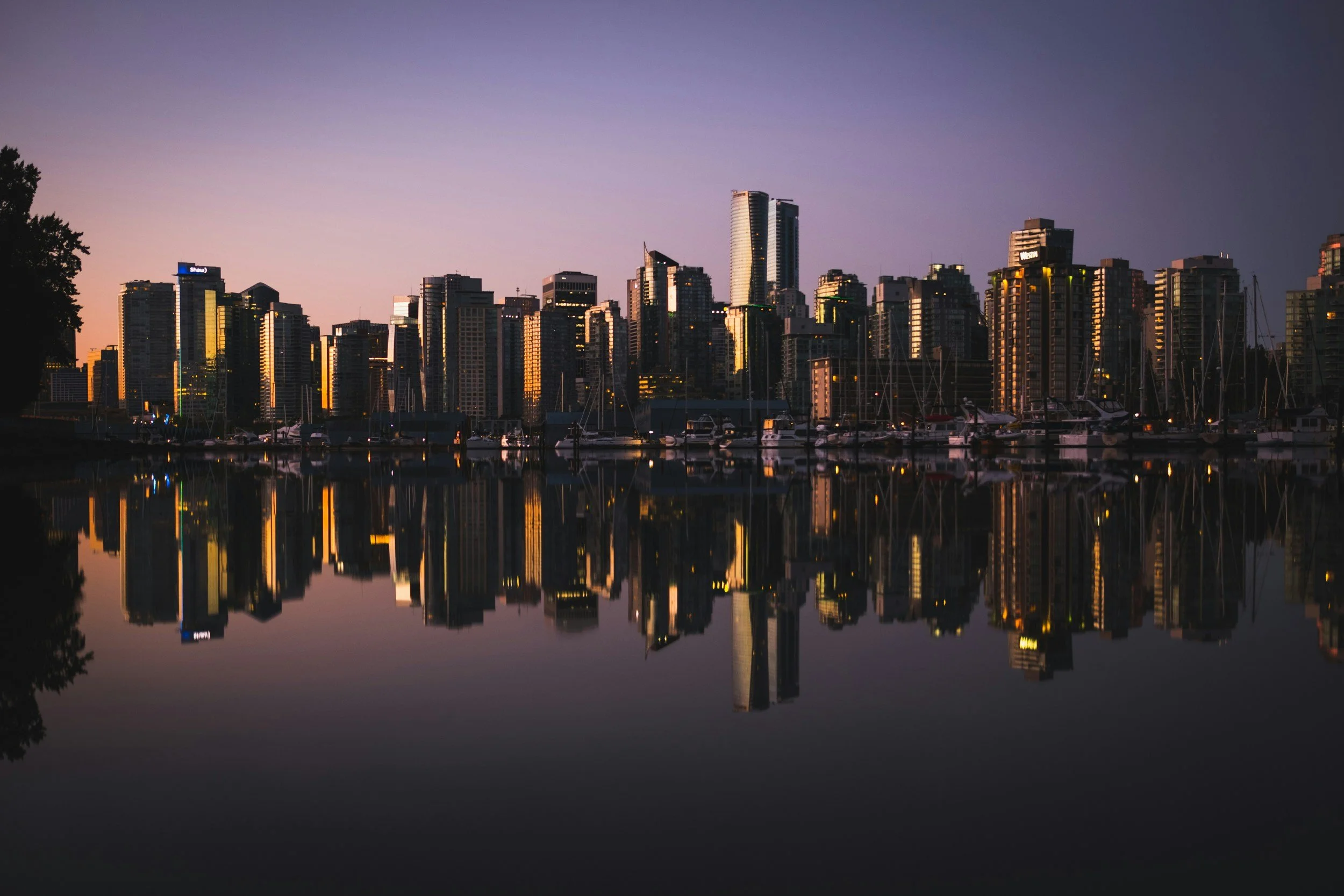 From Coastlines to Skylines