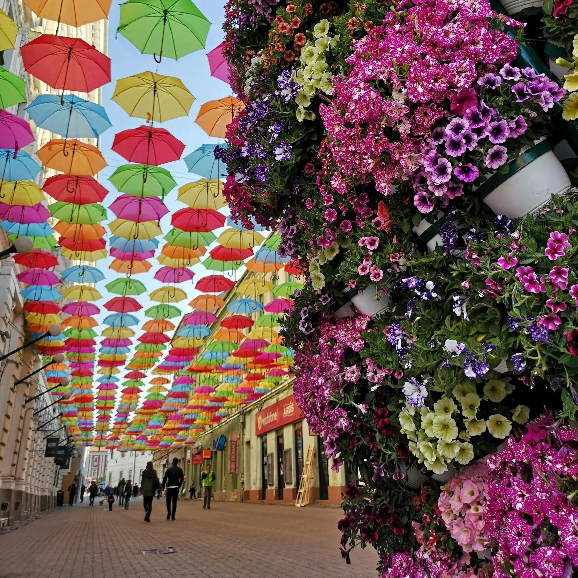 Essence of Romania