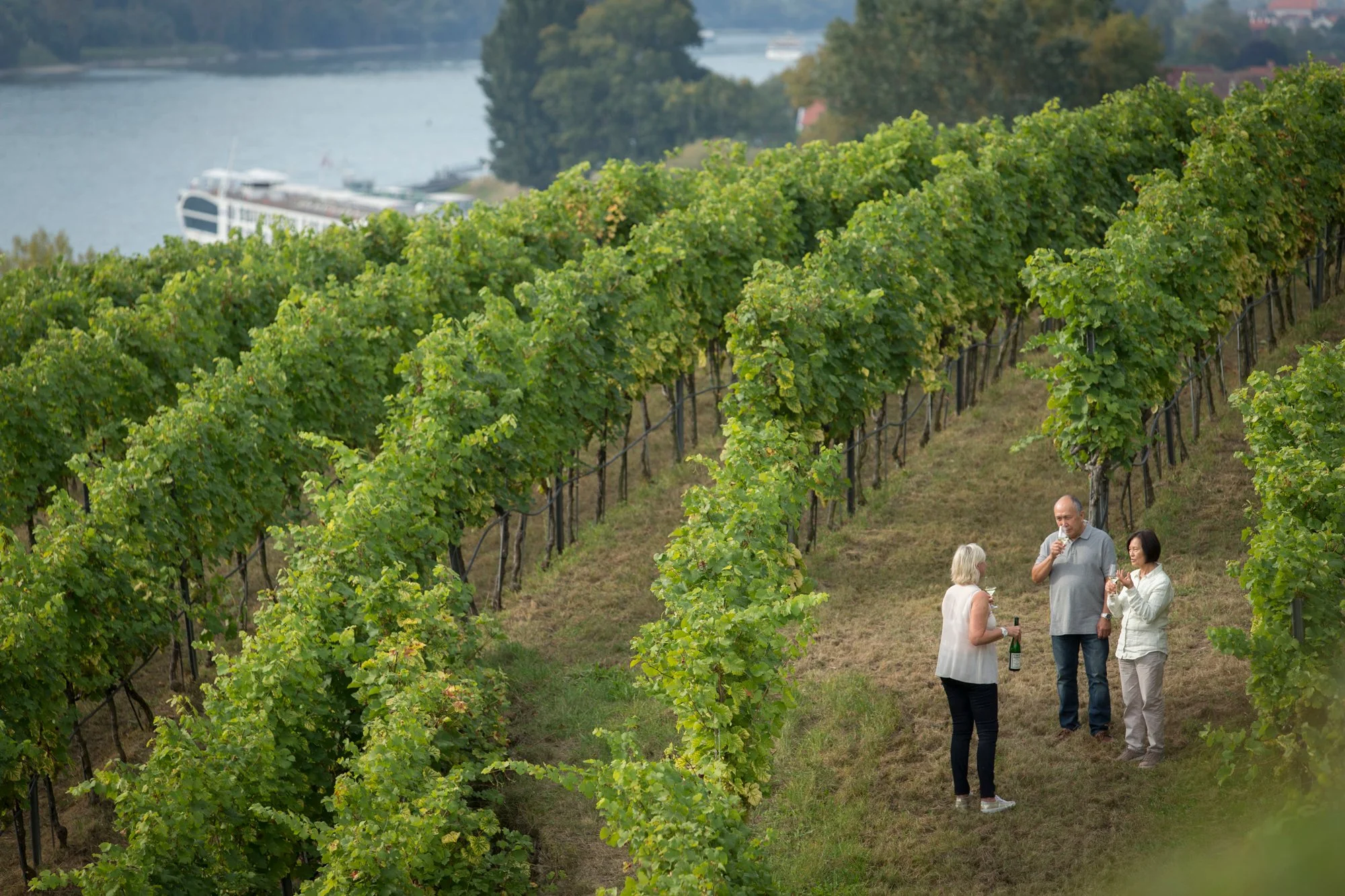 Castles along the Rhine 