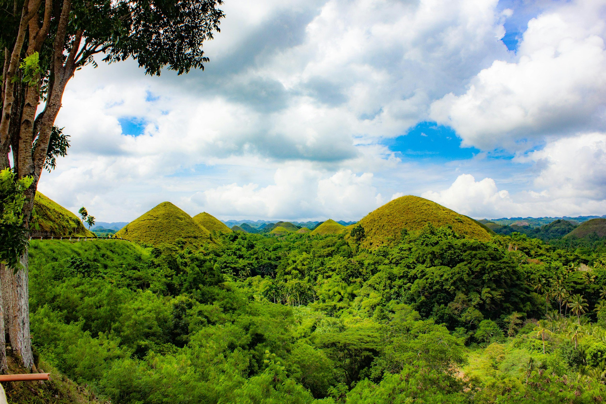 Bohol Countryside