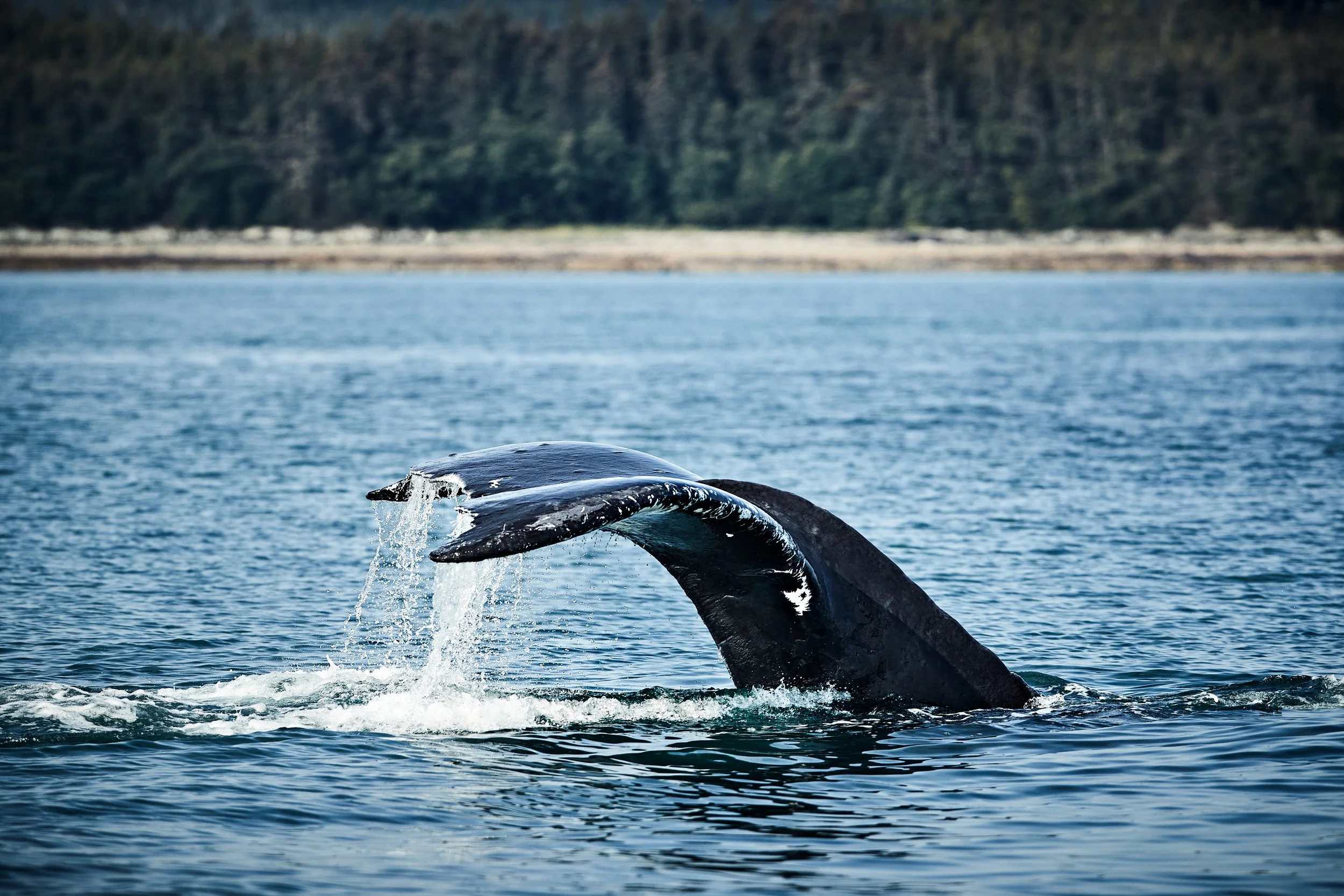 Alaska - Sailing the Inside Passage