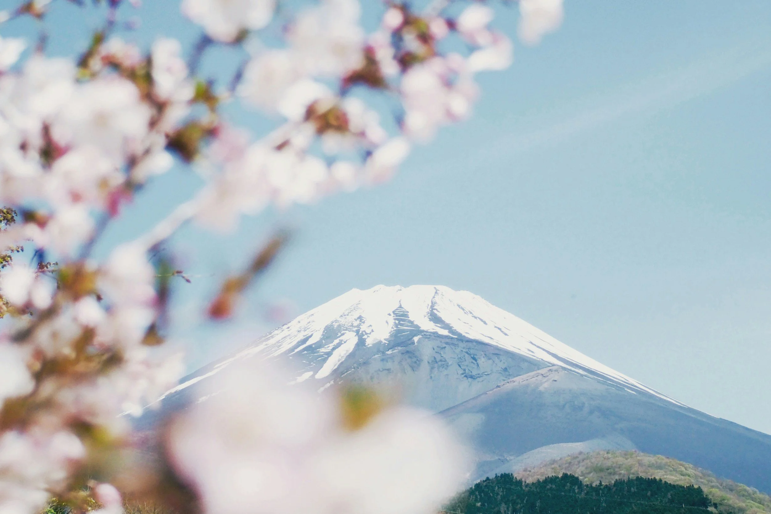 Cruise Japan &amp; Southeast Asia