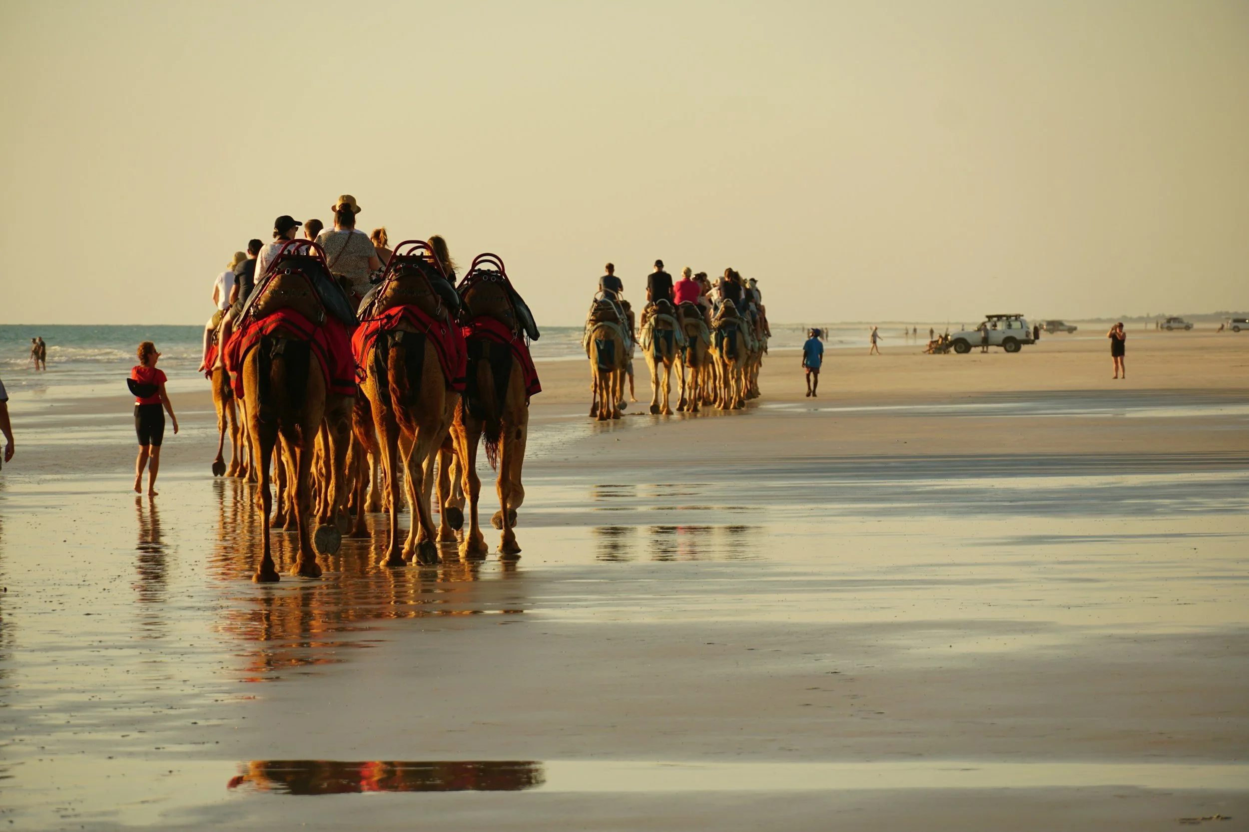 Wild Australia: From West to East