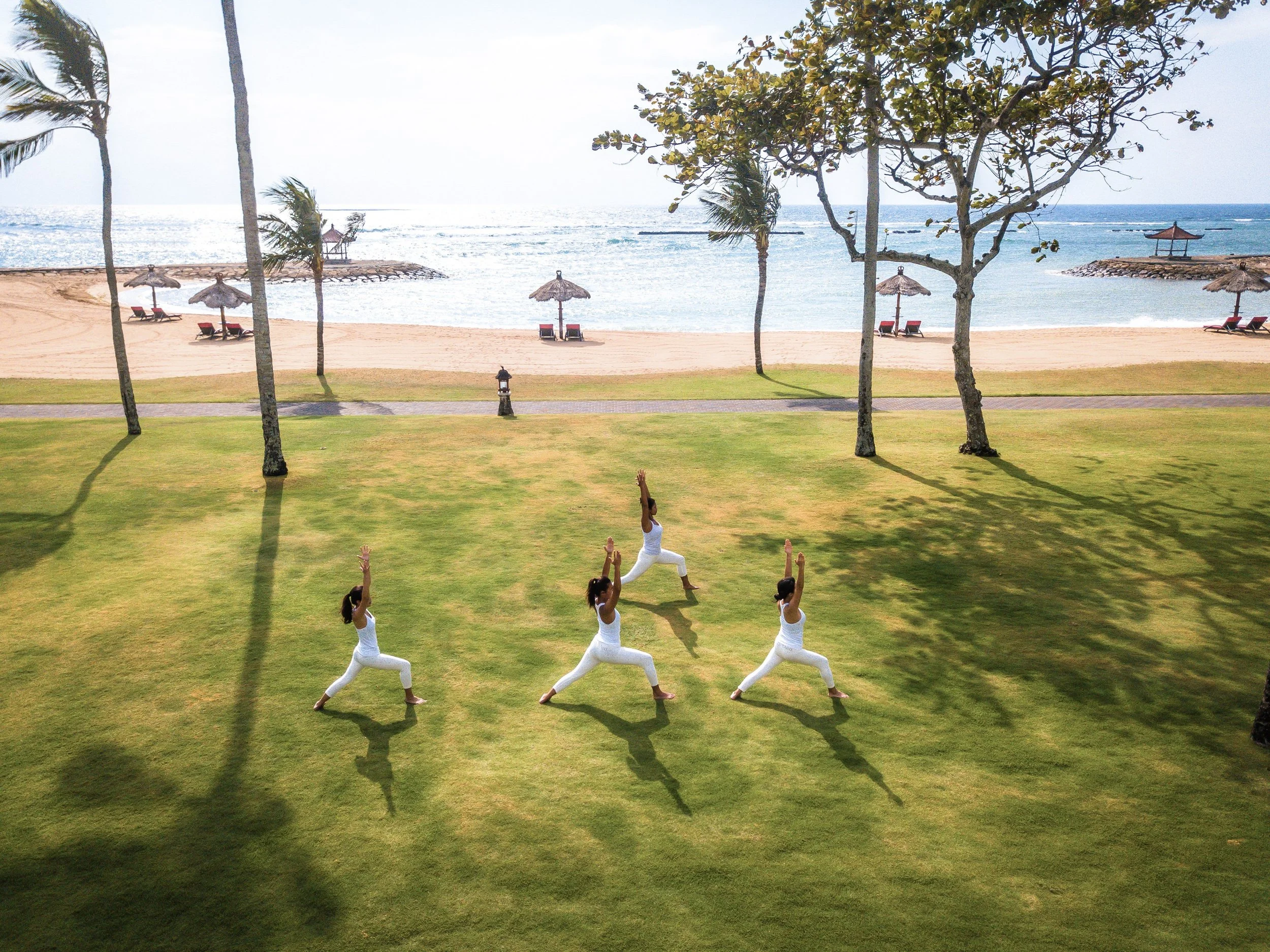 Four people practicing yoga on a grassy lawn near a beach with palm trees and ocean view in the background.