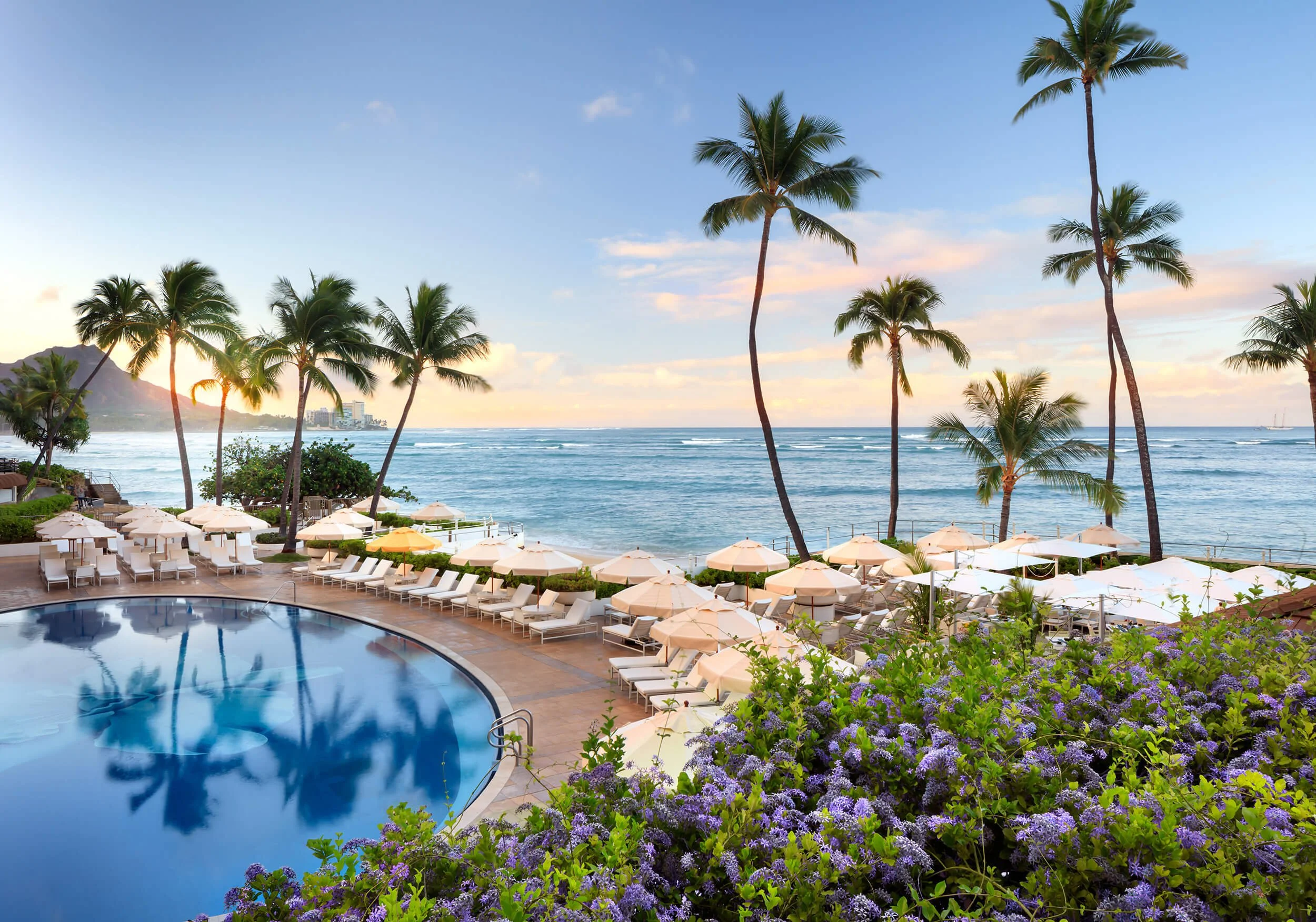 Air New Zealand Hawaii — wanderlusttravelexperts