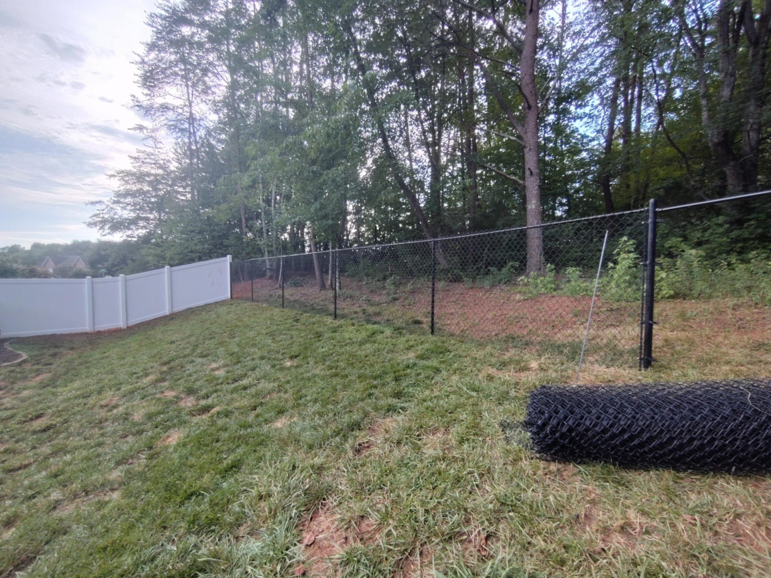 ea40d2f1-9b0f-4a55-89a5-c5de2f84bfbd.jfif