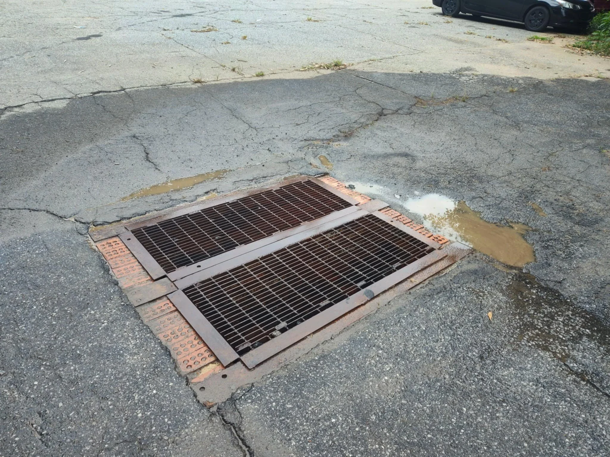 49ac94d2-f935-4d81-ba00-25358b2f506e.jfif