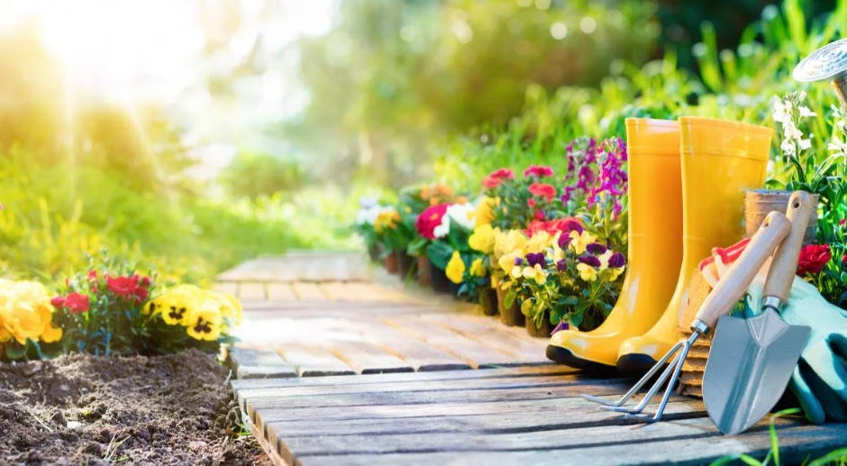 Gardening scene with vibrant flowers, yellow rain boots, and gardening tools on a wooden path.