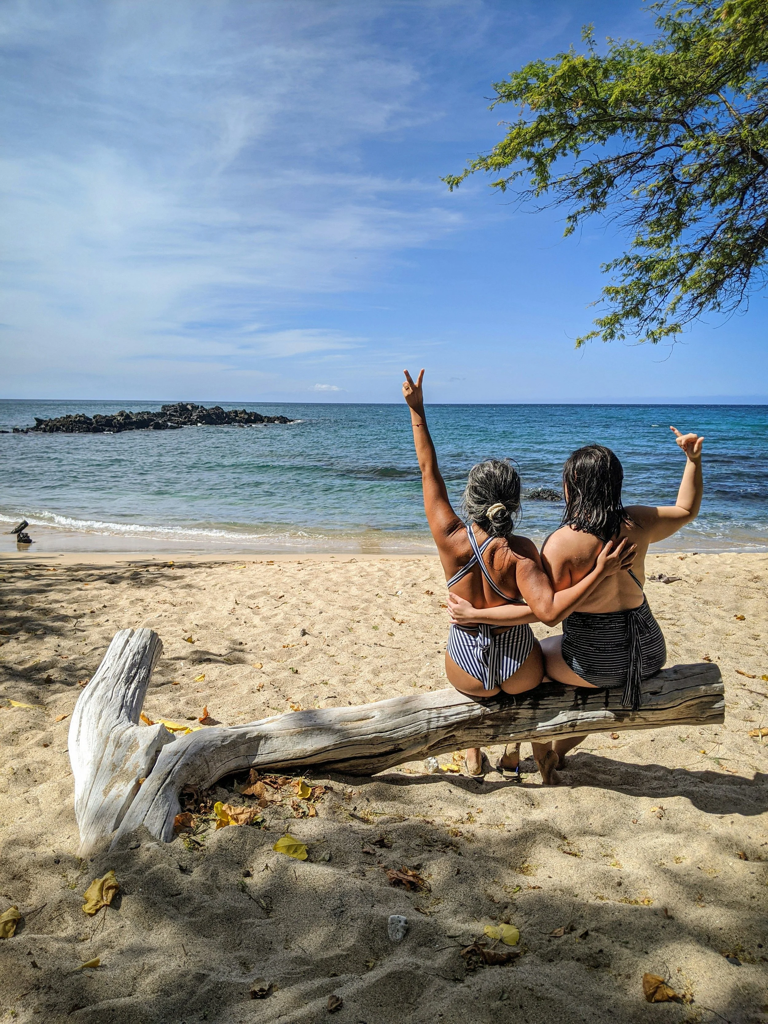 Two women sitting on a large piece of driftwood on a sandy beach, with the ocean and sky in the background. They are hugging and making peace signs with their hands. There is a tree branch in the top right corner.