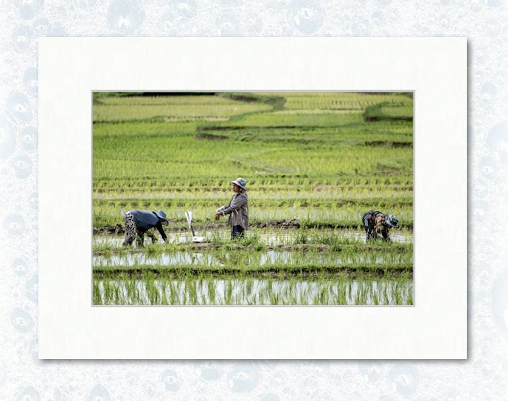 12” x 18” on 18” x 24” example matting