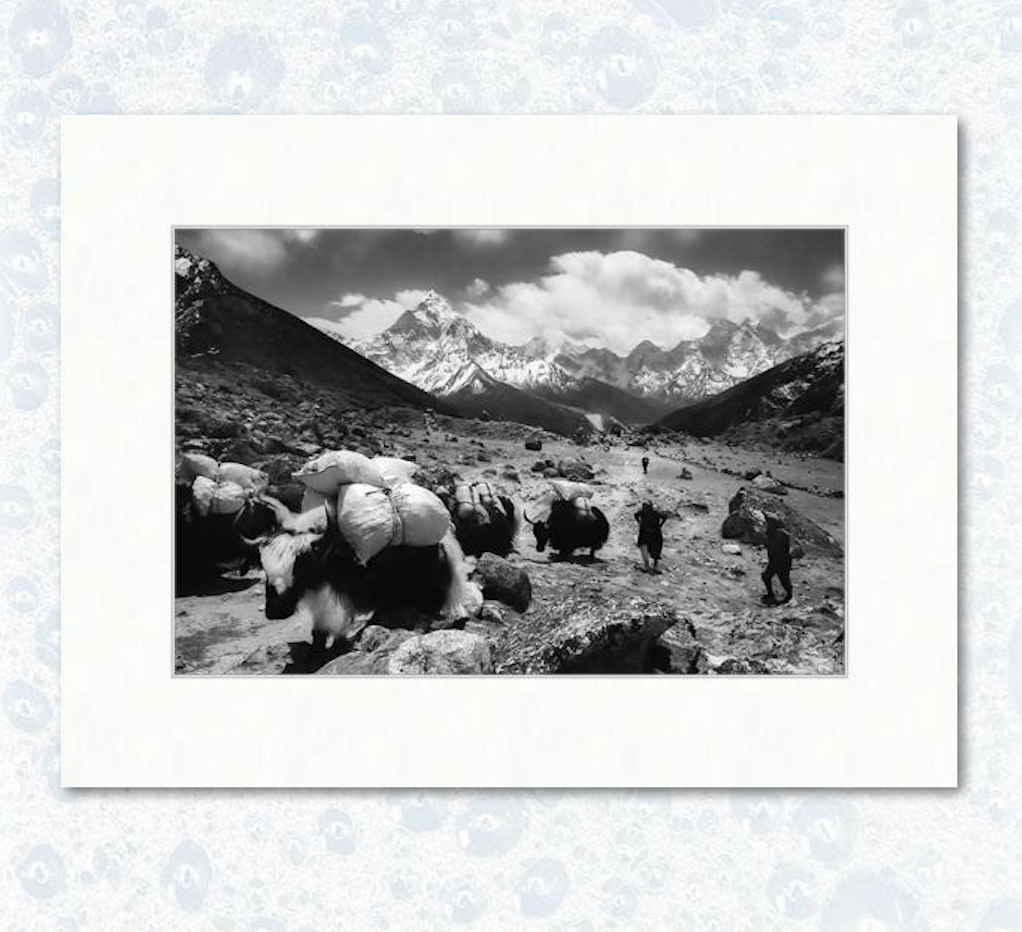 12" x 18" photograph on 18" x 24" matting