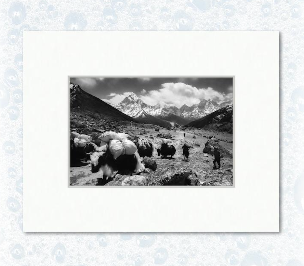 6" x 9" photograph on 11" x 14" matting