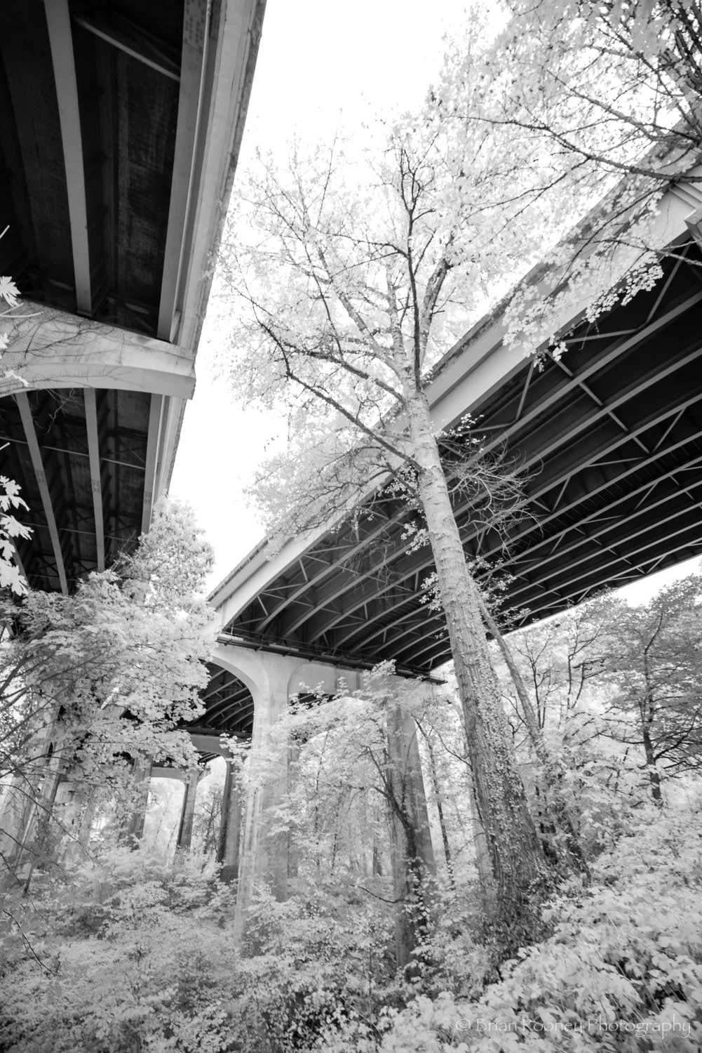 Kiewit OC Project-5.jpg