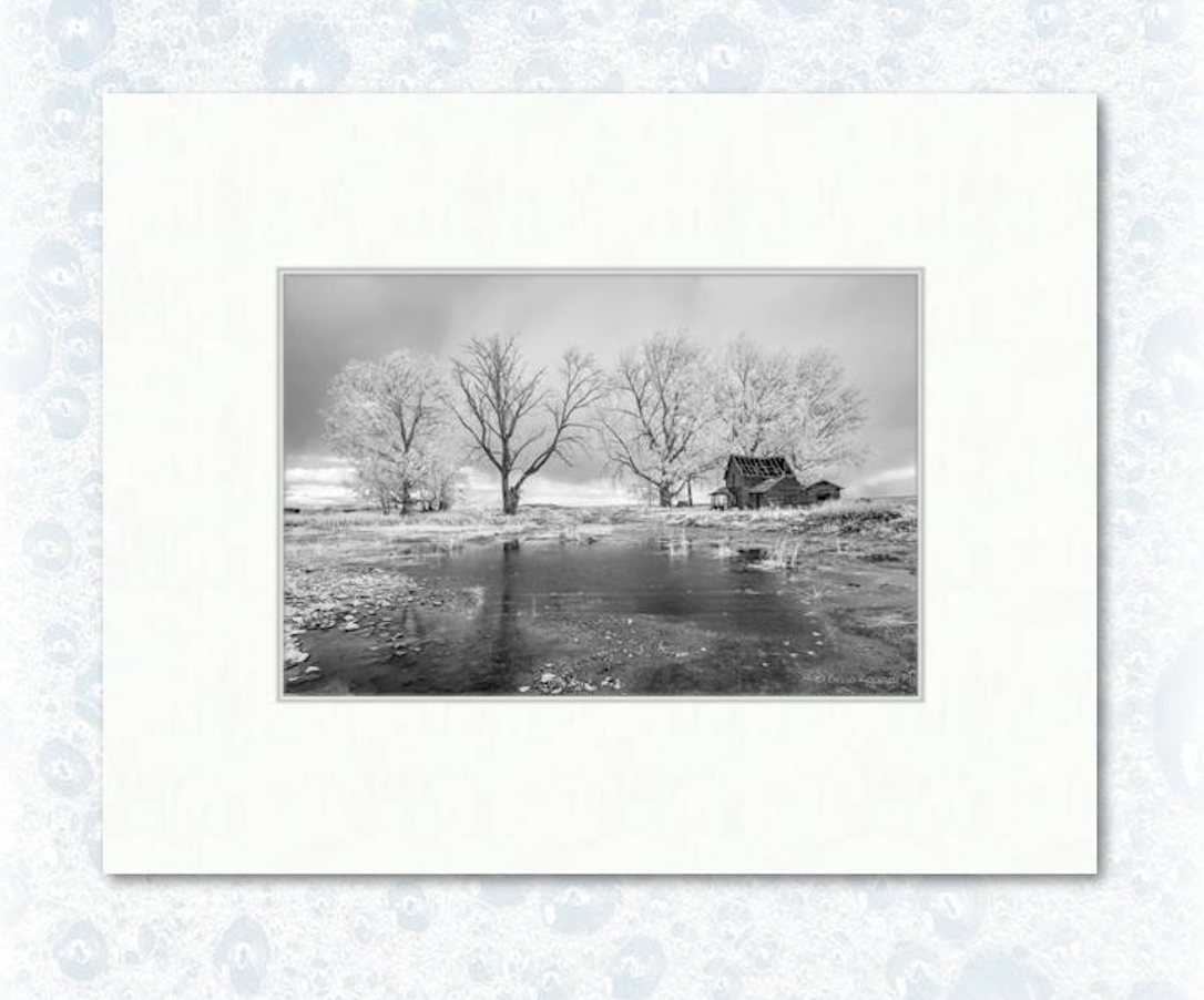 6" x 9" photograph on 11" x 14" matting