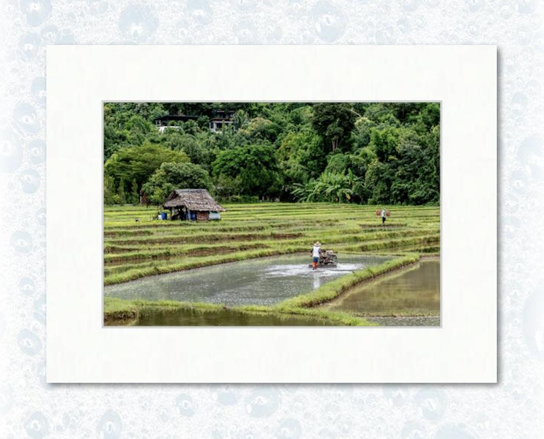 12” x 18” on 18” x 24” example matting