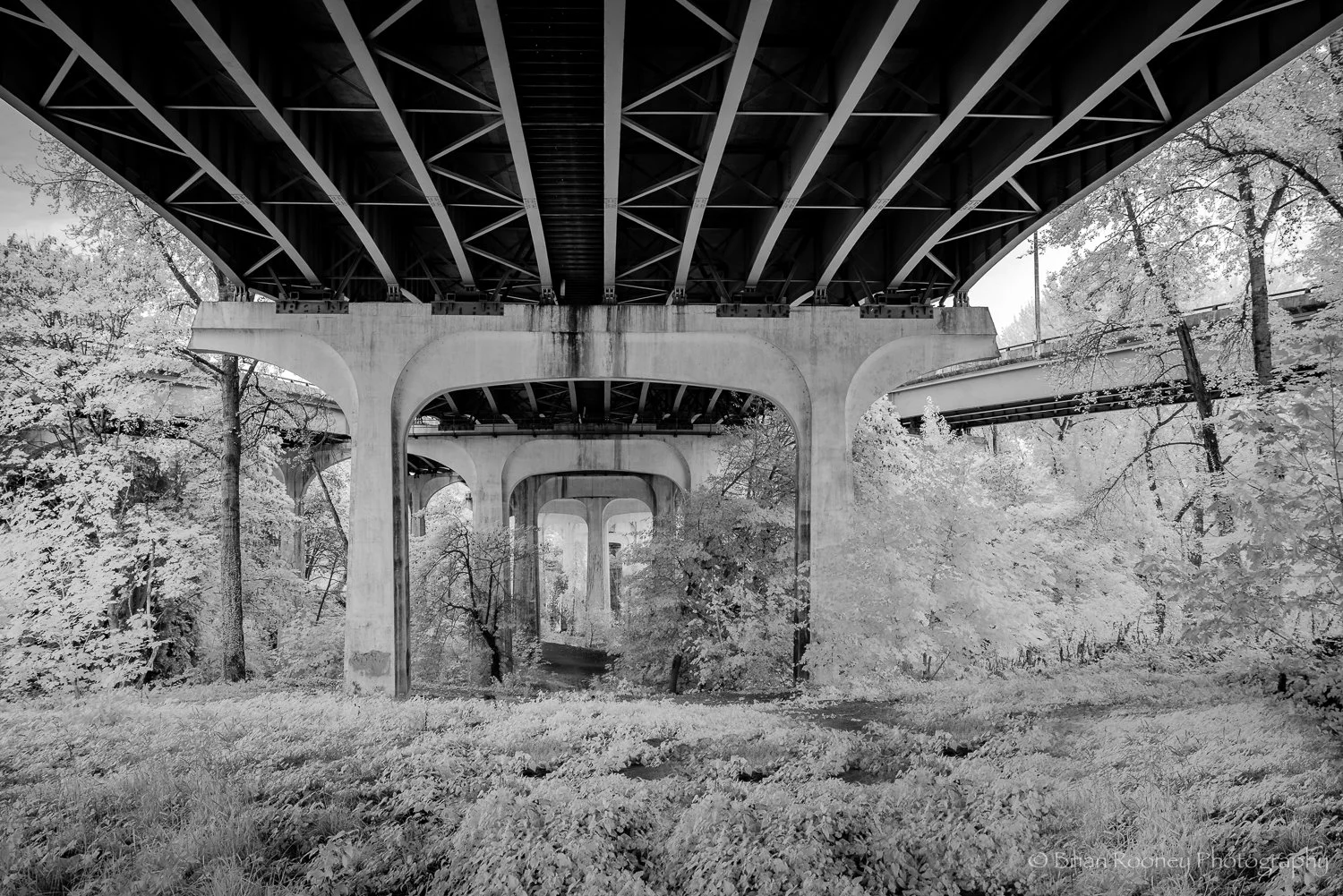 Kiewit OC Project-4.jpg