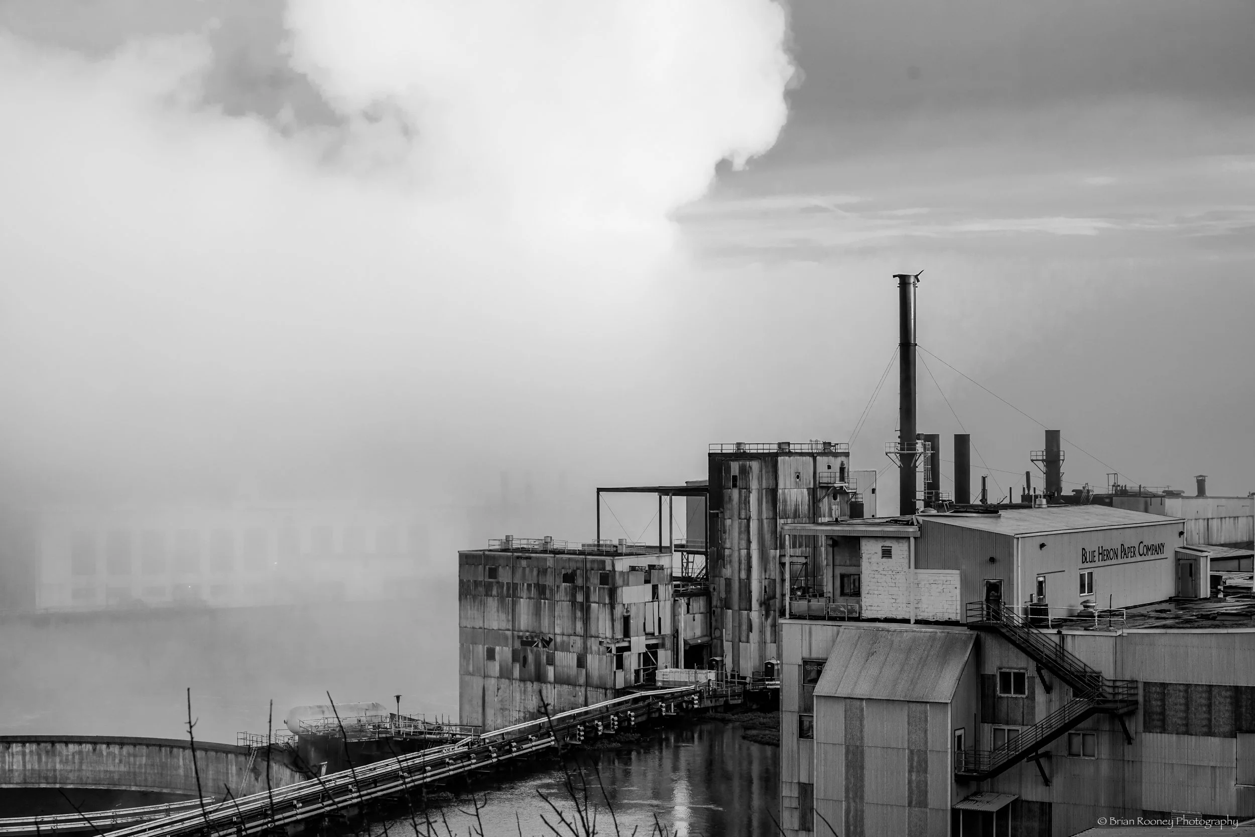 Willamette Falls and Mill Print # 133