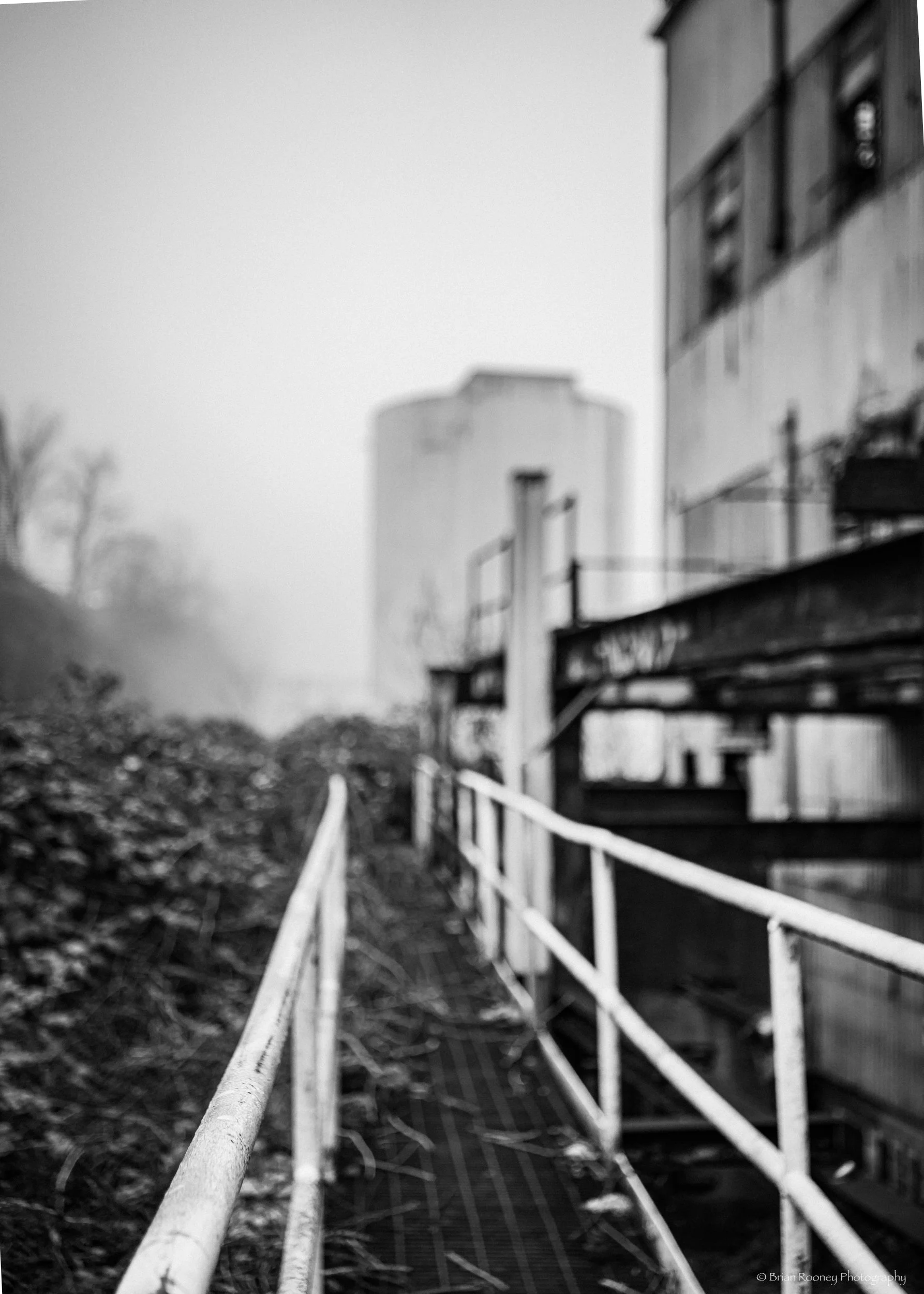 Willamette Falls and Mill Print # 166