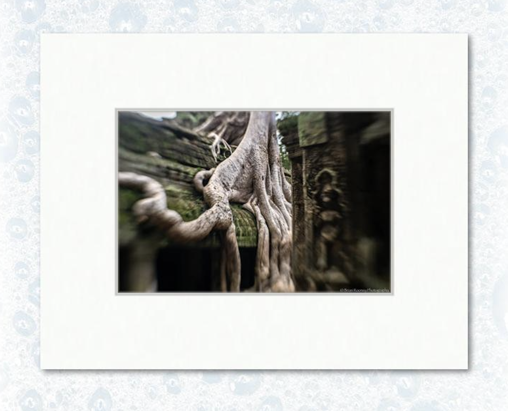 Cambodia Print No. 152 - 12" x 18" matted example