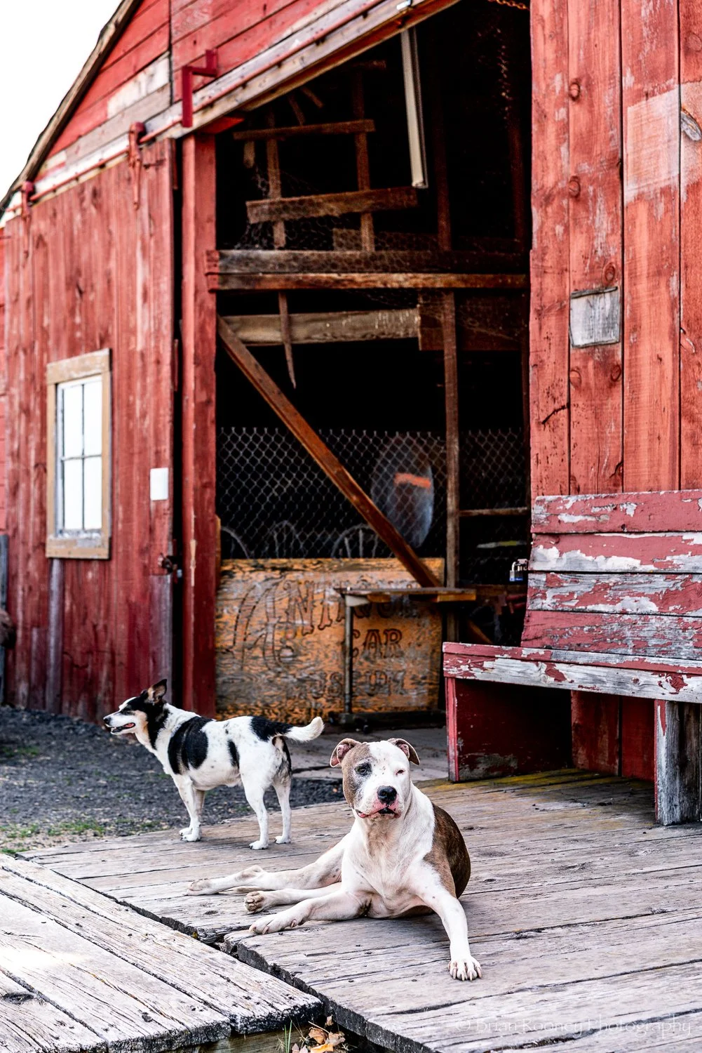 Rural Oregon Print # 10