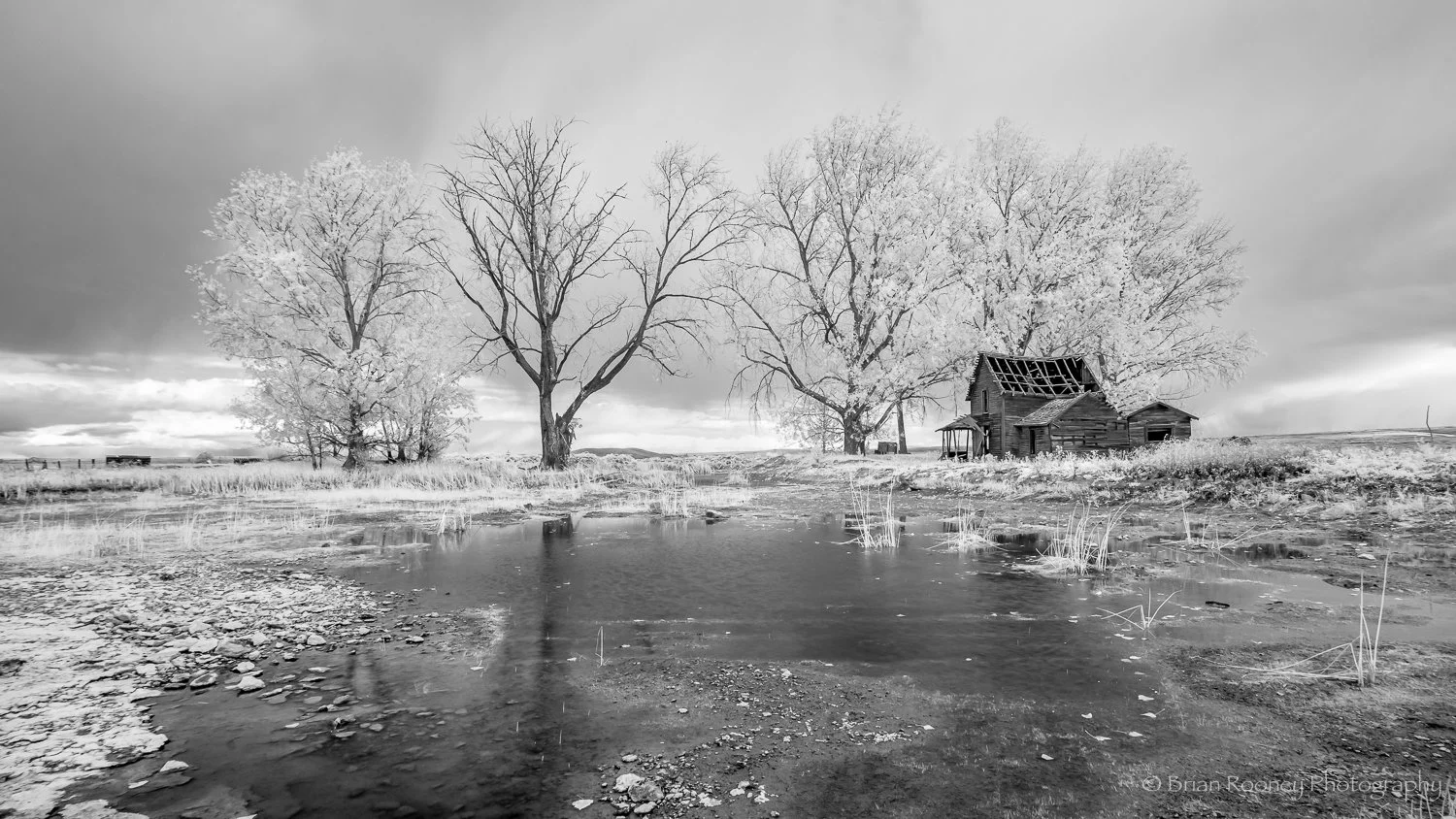 Rural Oregon Print No. 45