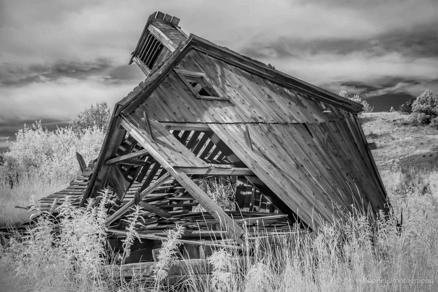 Rural Oregon Print # 36