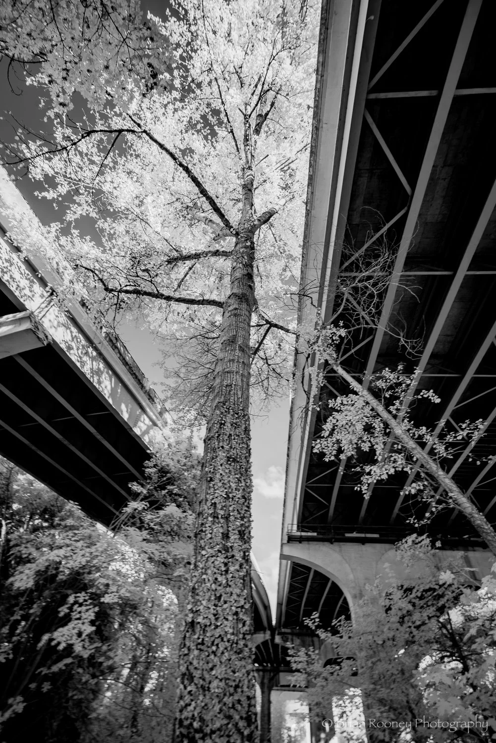 Kiewit OC Project-1.jpg