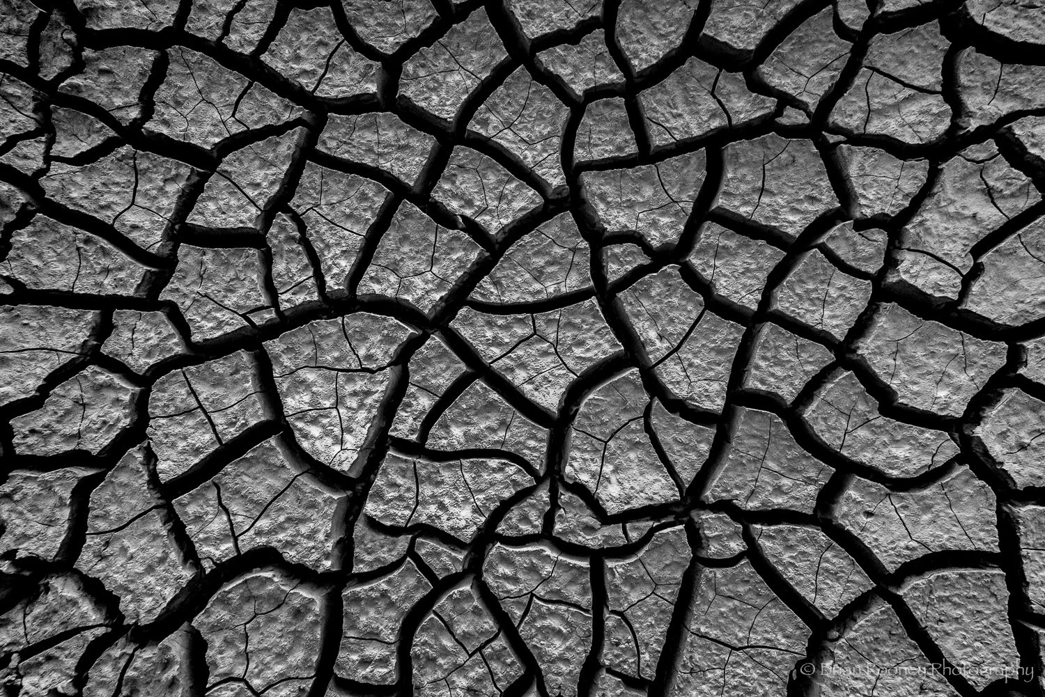 Landscape Print No. 18