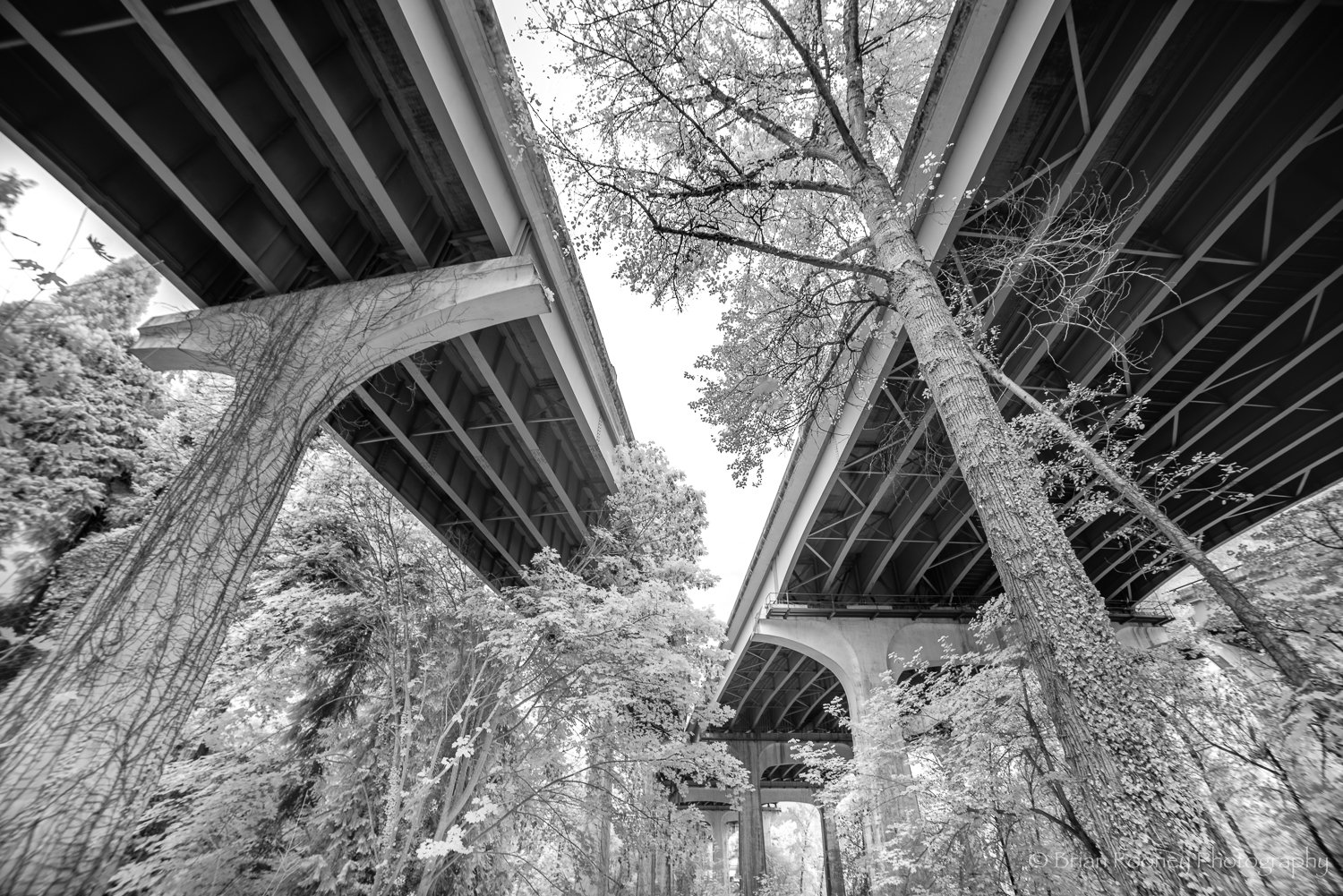 Kiewit OC Project-6.jpg